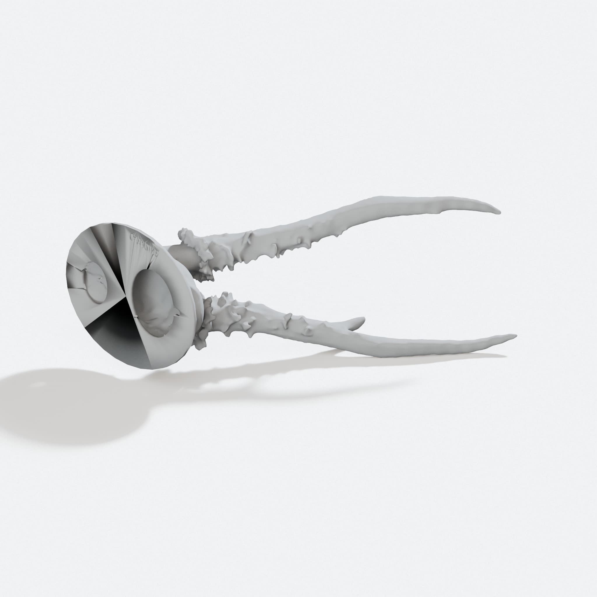 Roe Deer Antler Trophy 3D Printed Home Decor