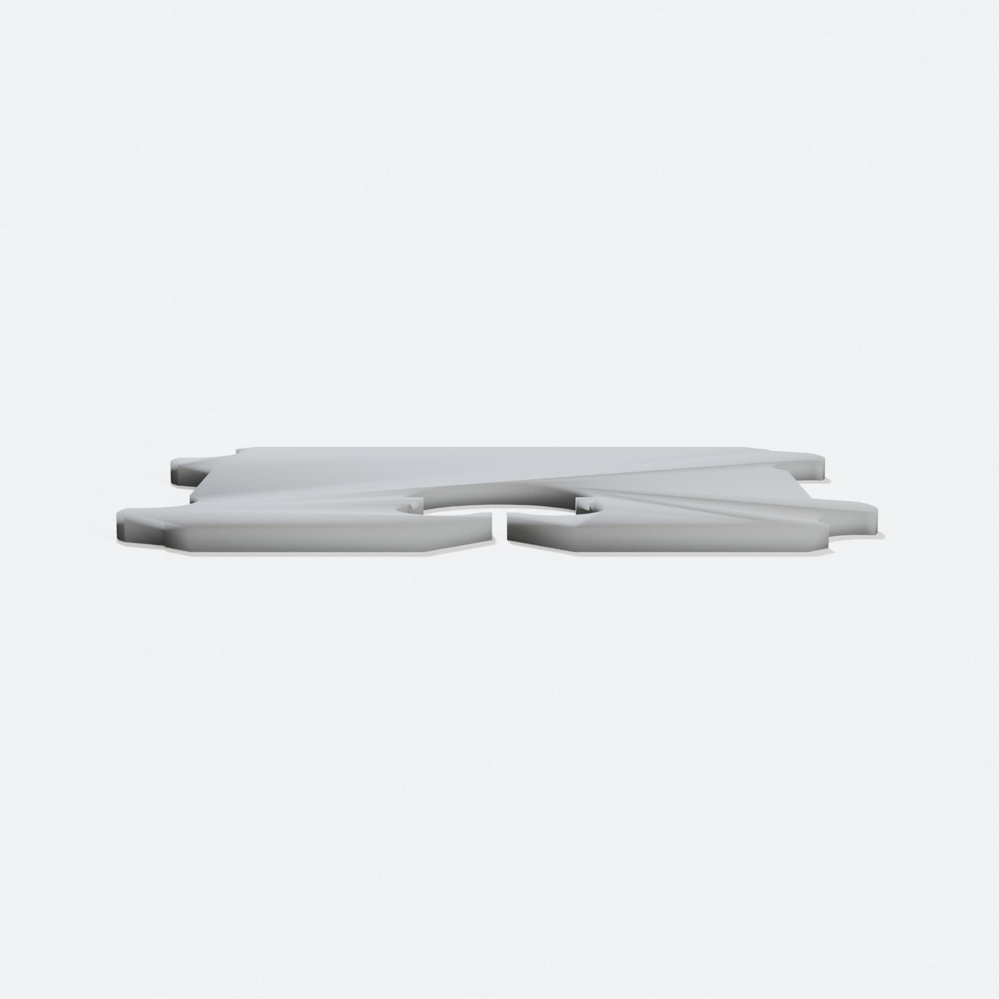 Giant Bread Tag Occlupanidae Decorative Piece