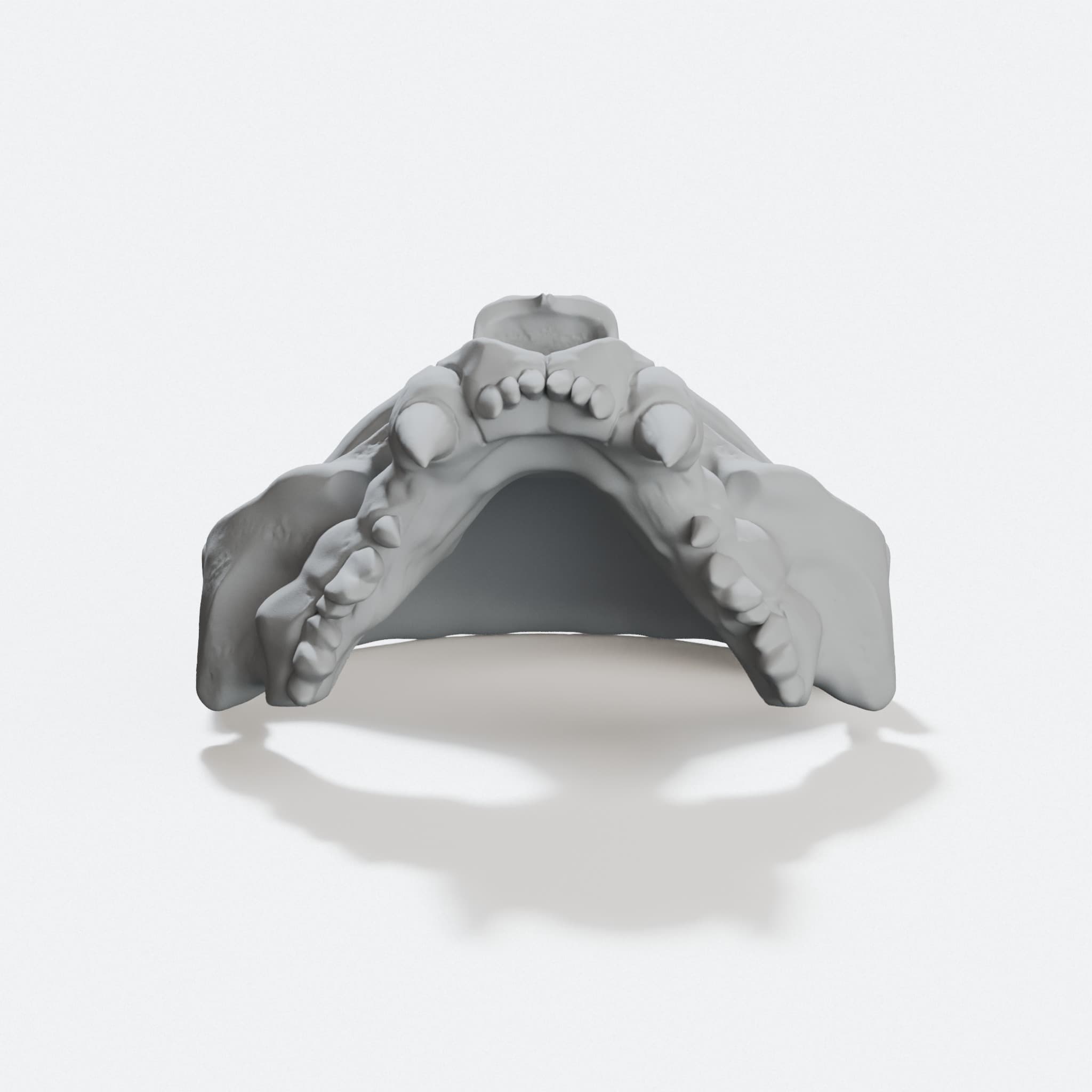 Cat Skull Mask, 3D Printed Gift for Halloween