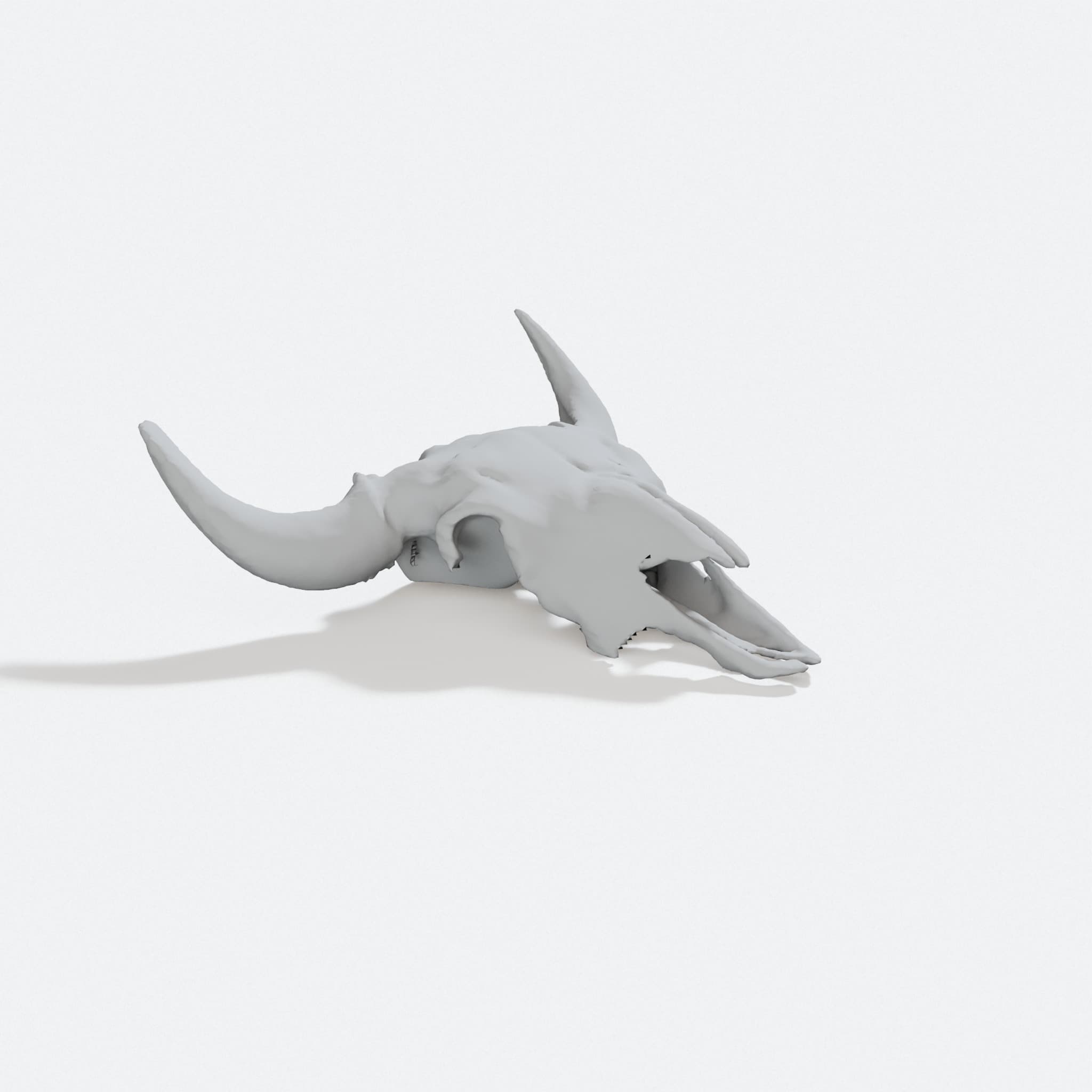 Buffalo Skull 3D Printed Home Decor - American Bison Wall Art