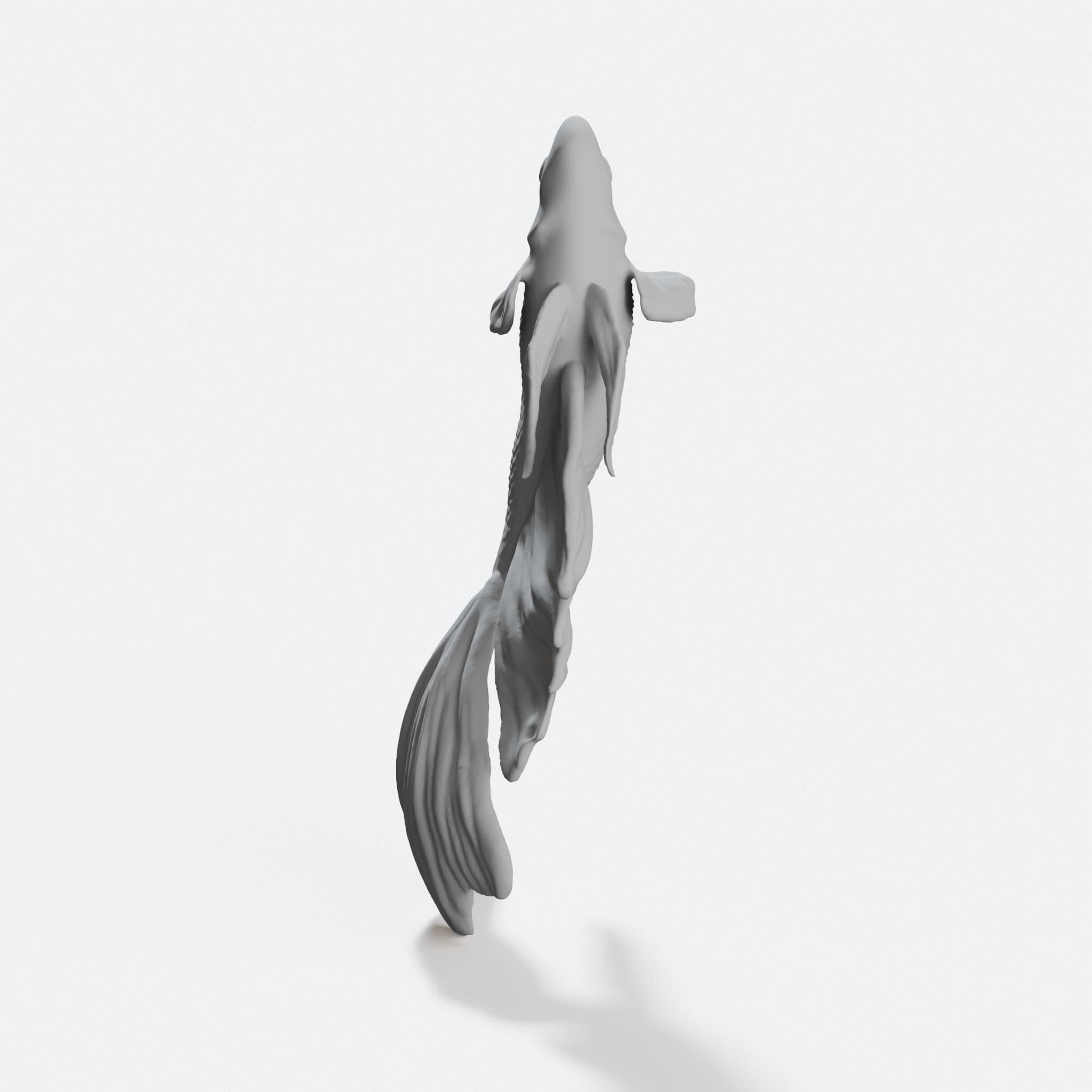 Beta Fish 3D Printed Home Decor