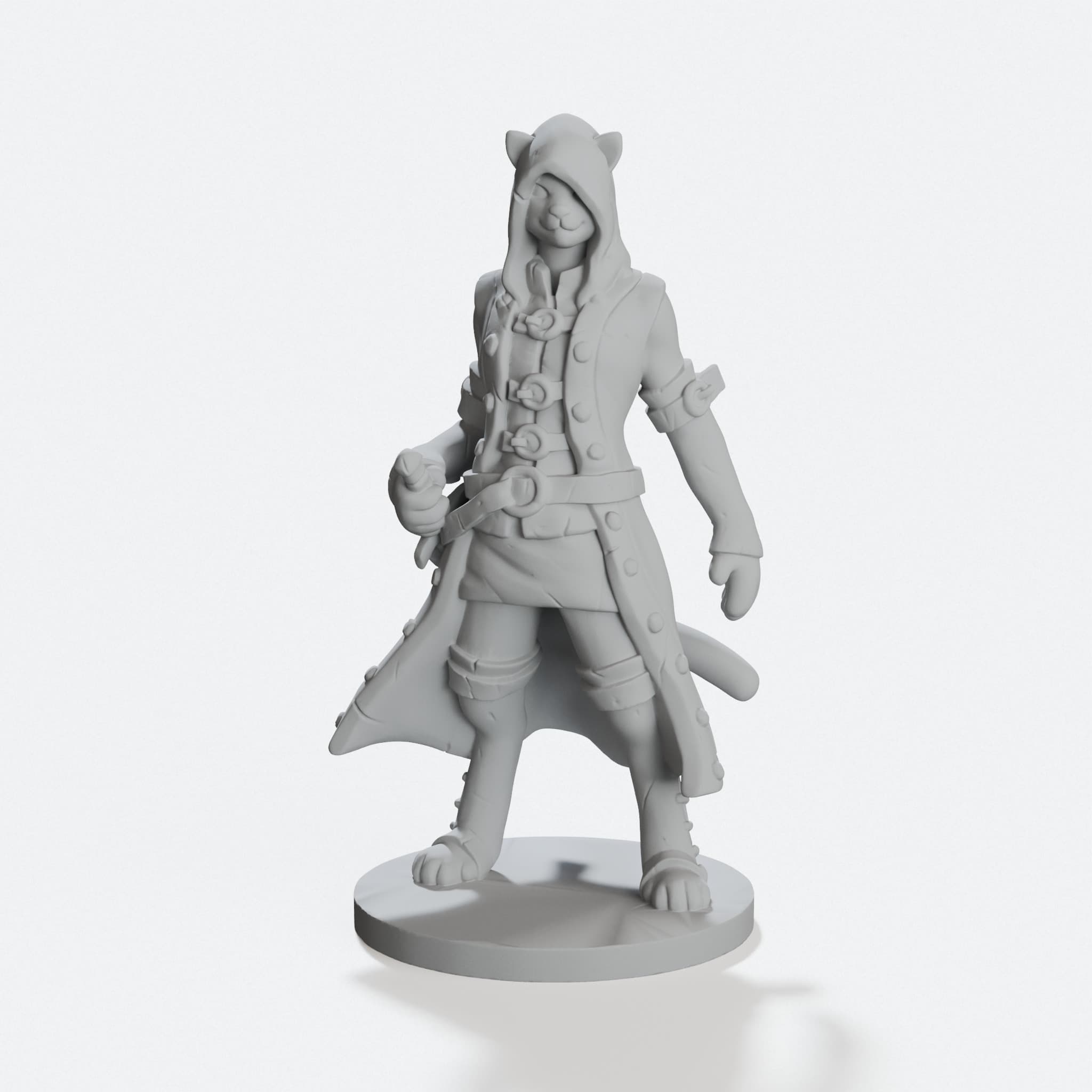Cat Rogue 3D Printed Toy, D&D Tabletop Character