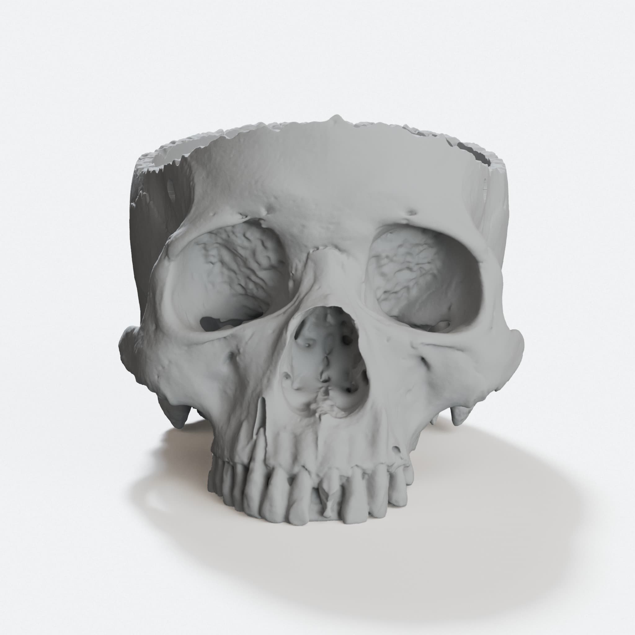 Hanging Skull Planter 3D Printed Home Decor