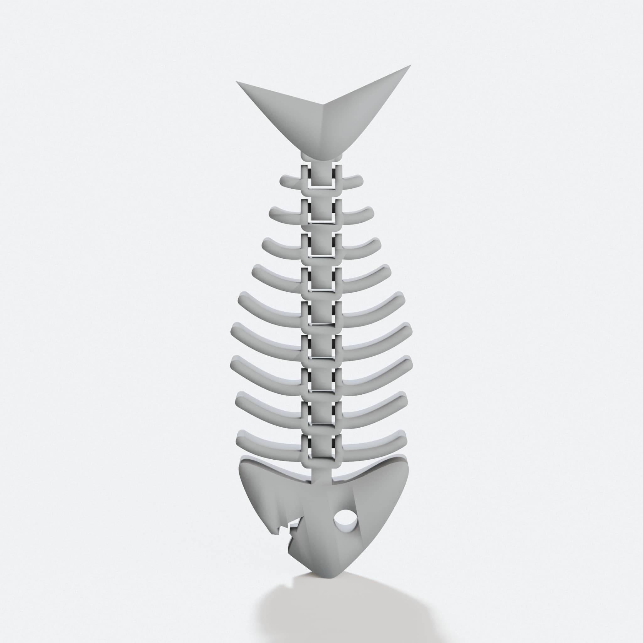 Articulated Fish Skeleton Toy - No Assembly
