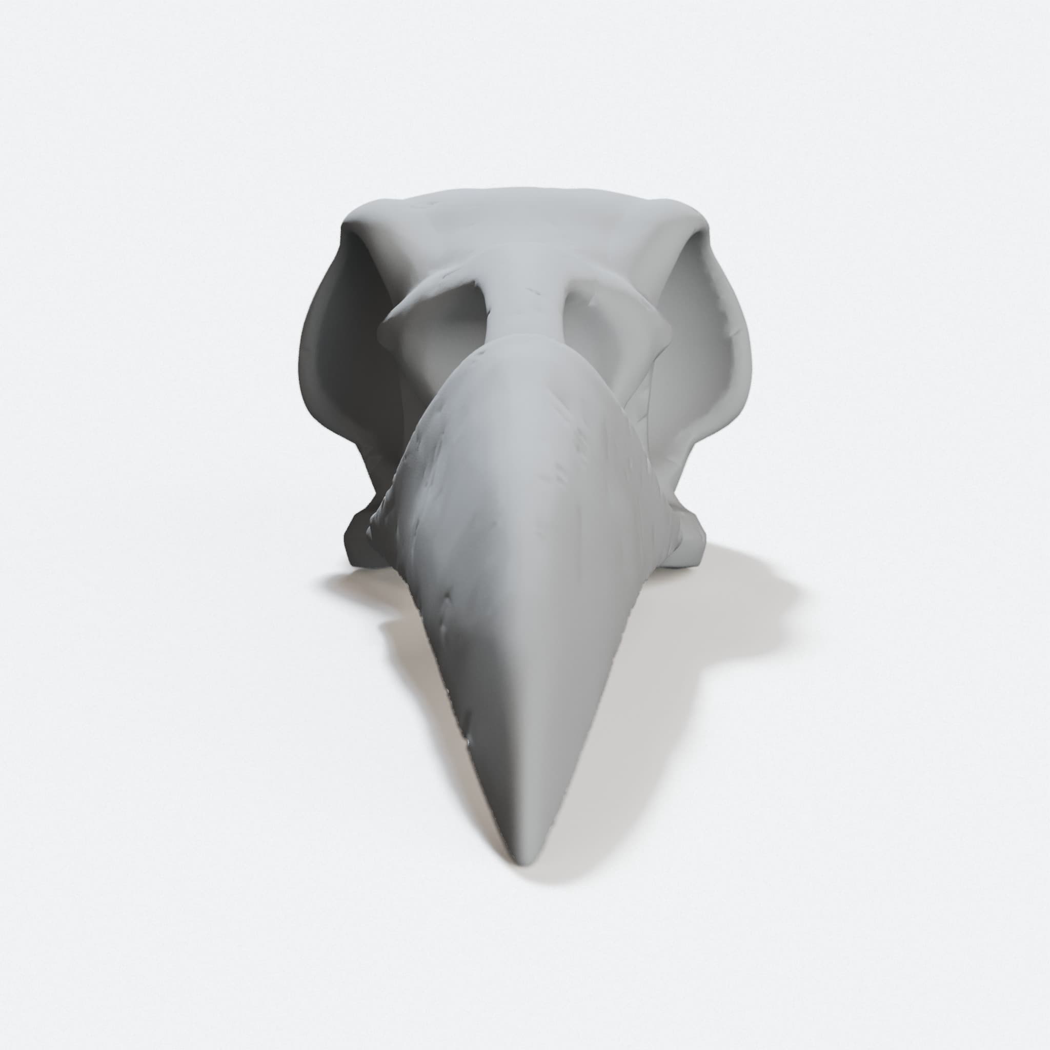 Raven Skull Display Piece, Detailed Bone Decor
