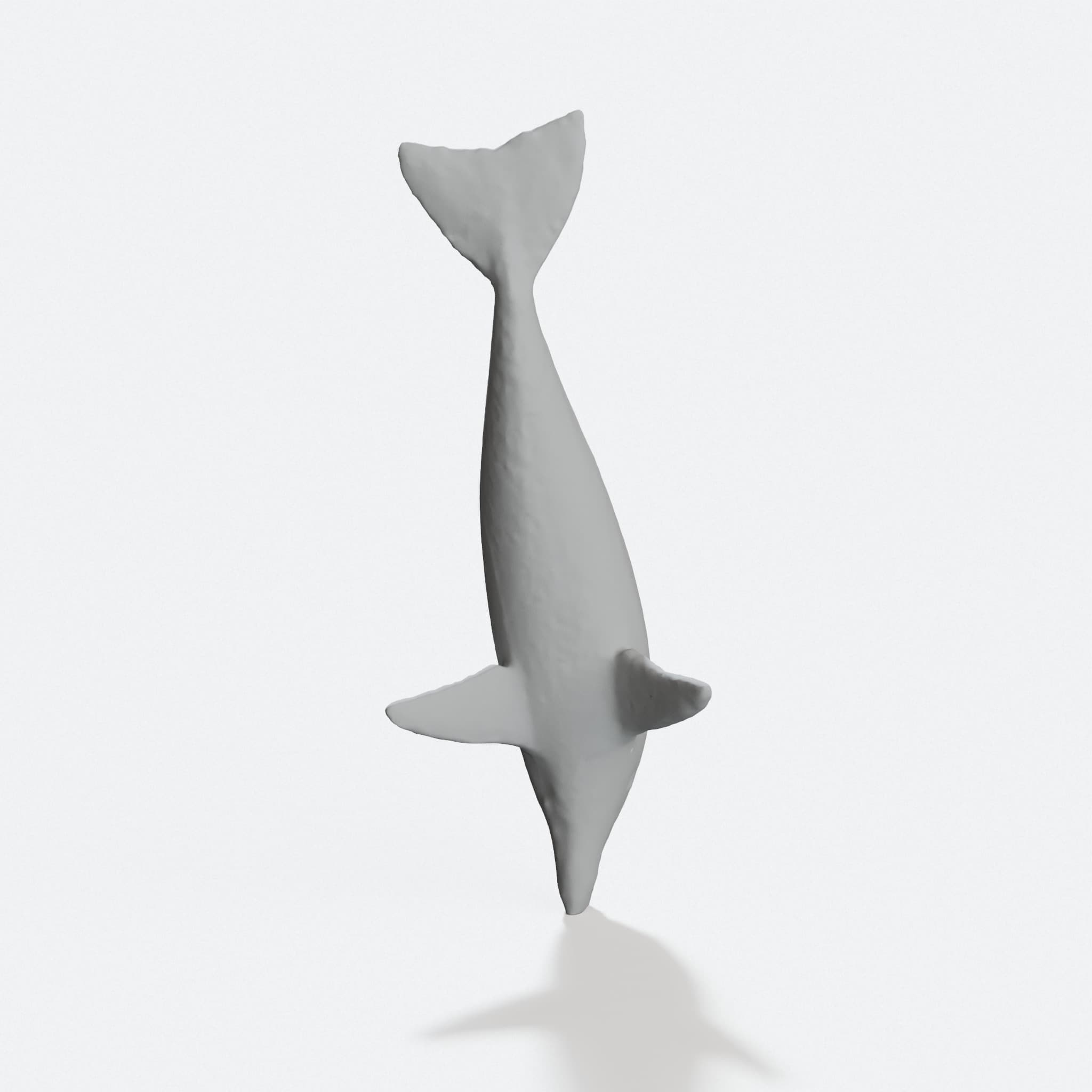 Hammerhead Shark & Dolphin 3D Printed Home Decor Set