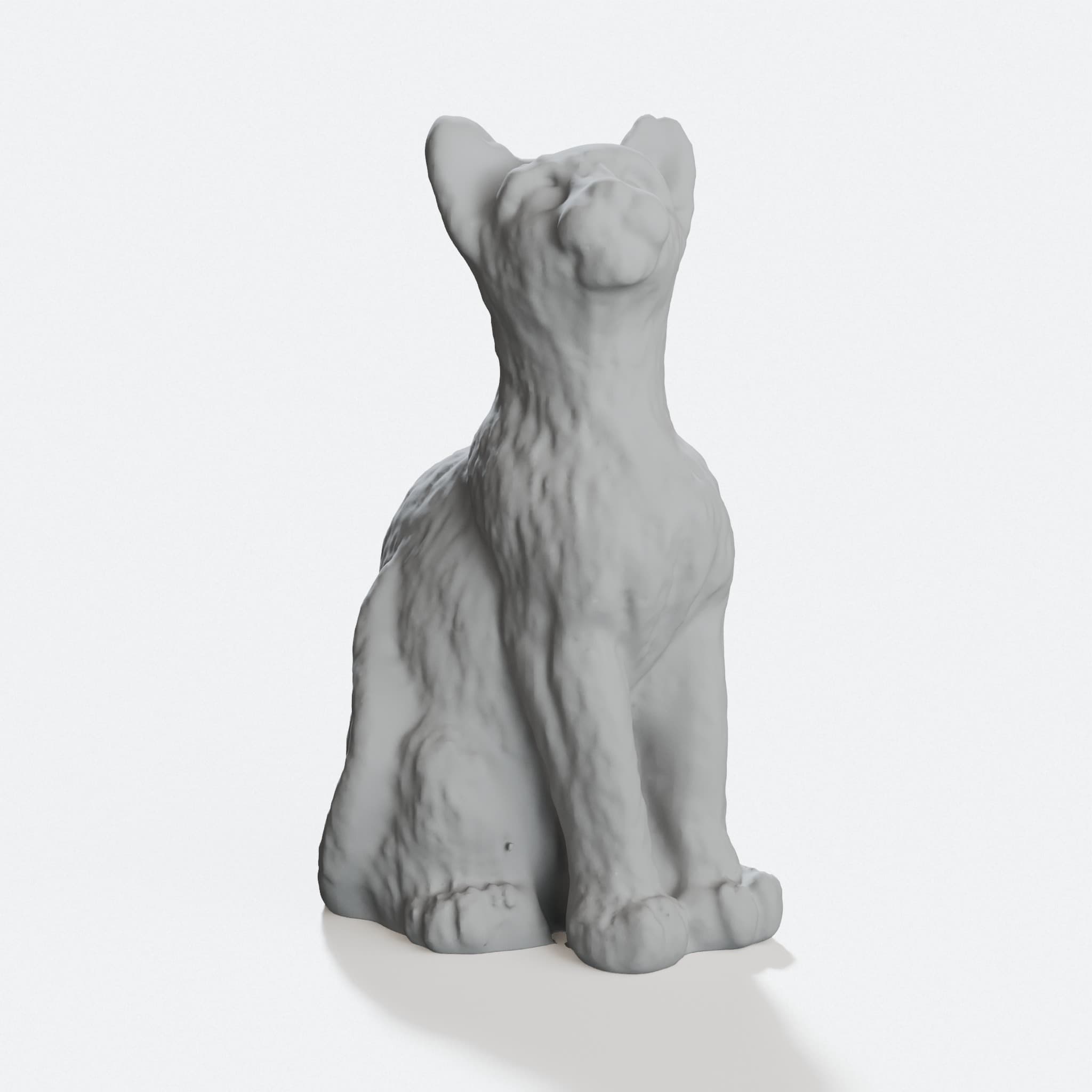 Cat Scan 3D Printed Home Decor Figure