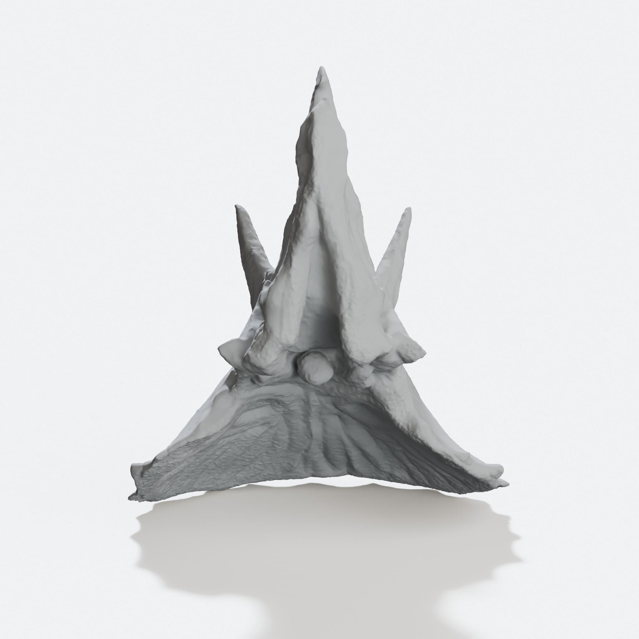 Triceratops Skull 3D Printed Home Decor