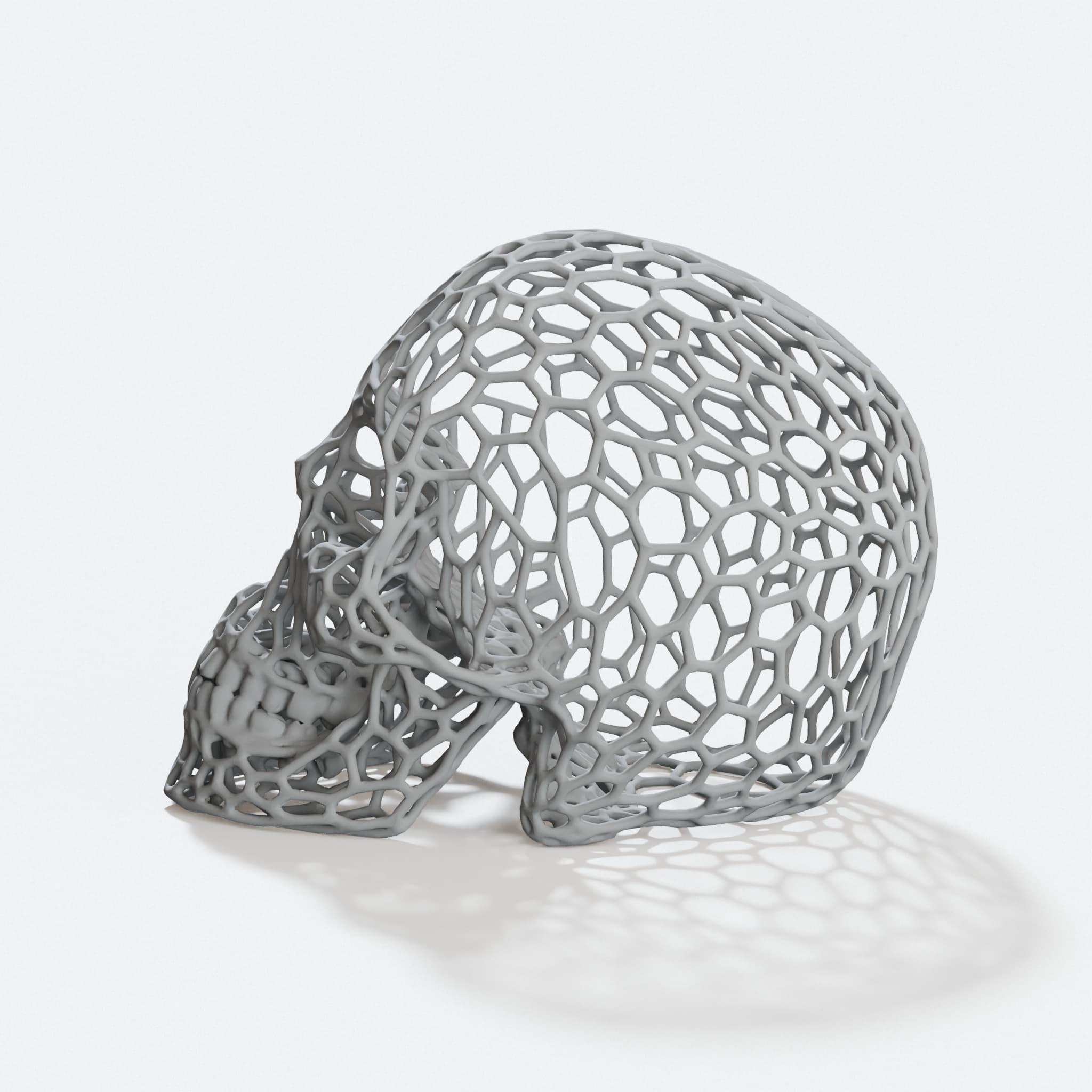Voronoi Skull 3D Printed Home Decor | Geometric Human Skull