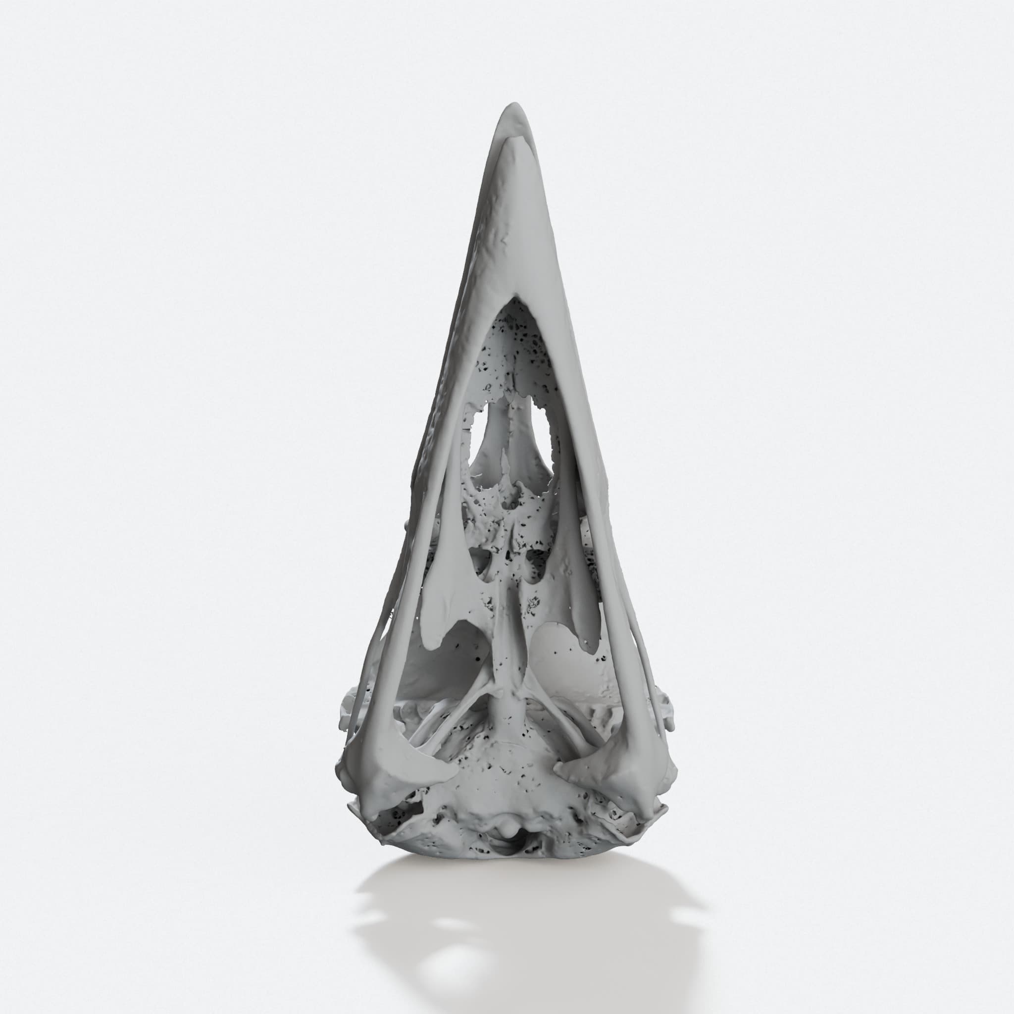 Raven Skull 3D Printed Home Decor