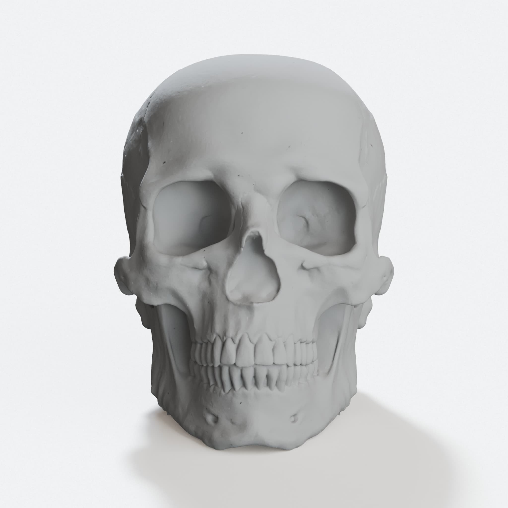 Skull Pen Holder and Thumb Drive Storage