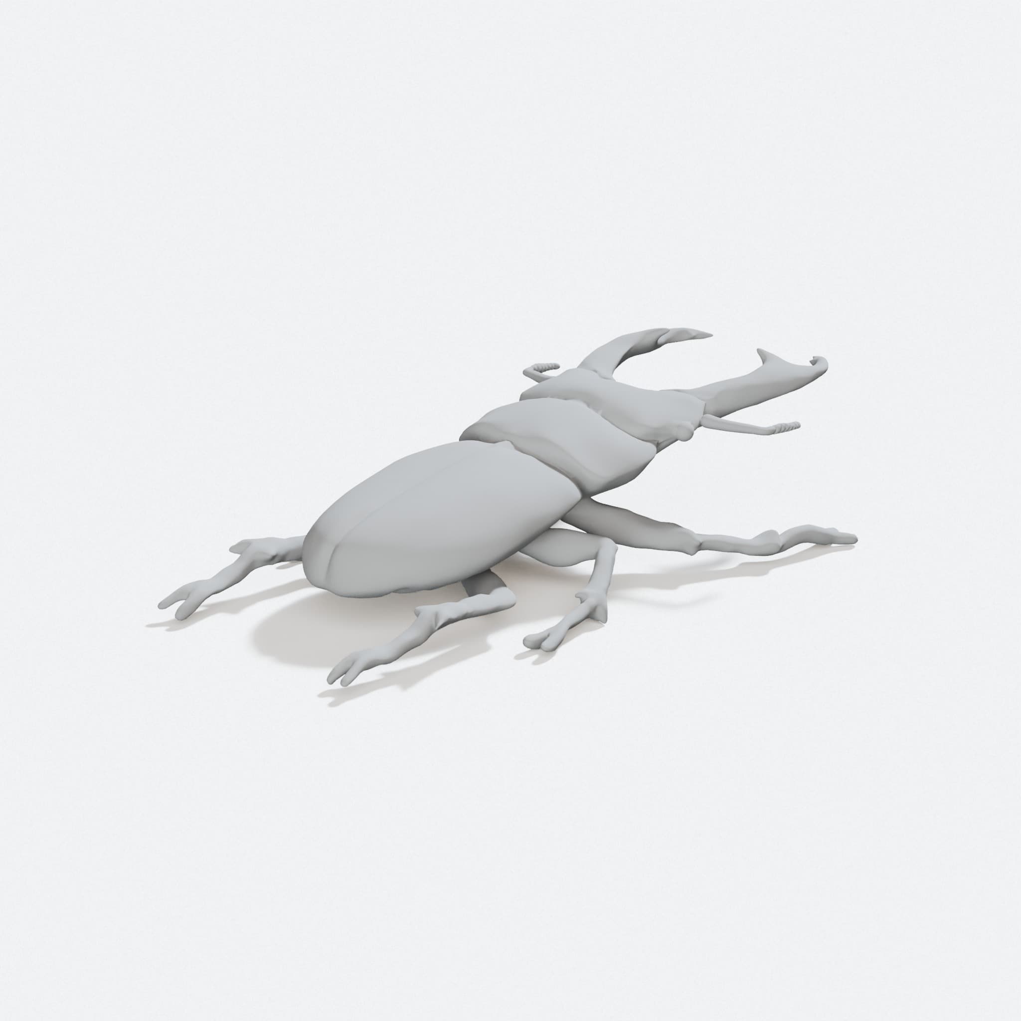 Tiny Stag Beetle 3D Printed Home Decor Model