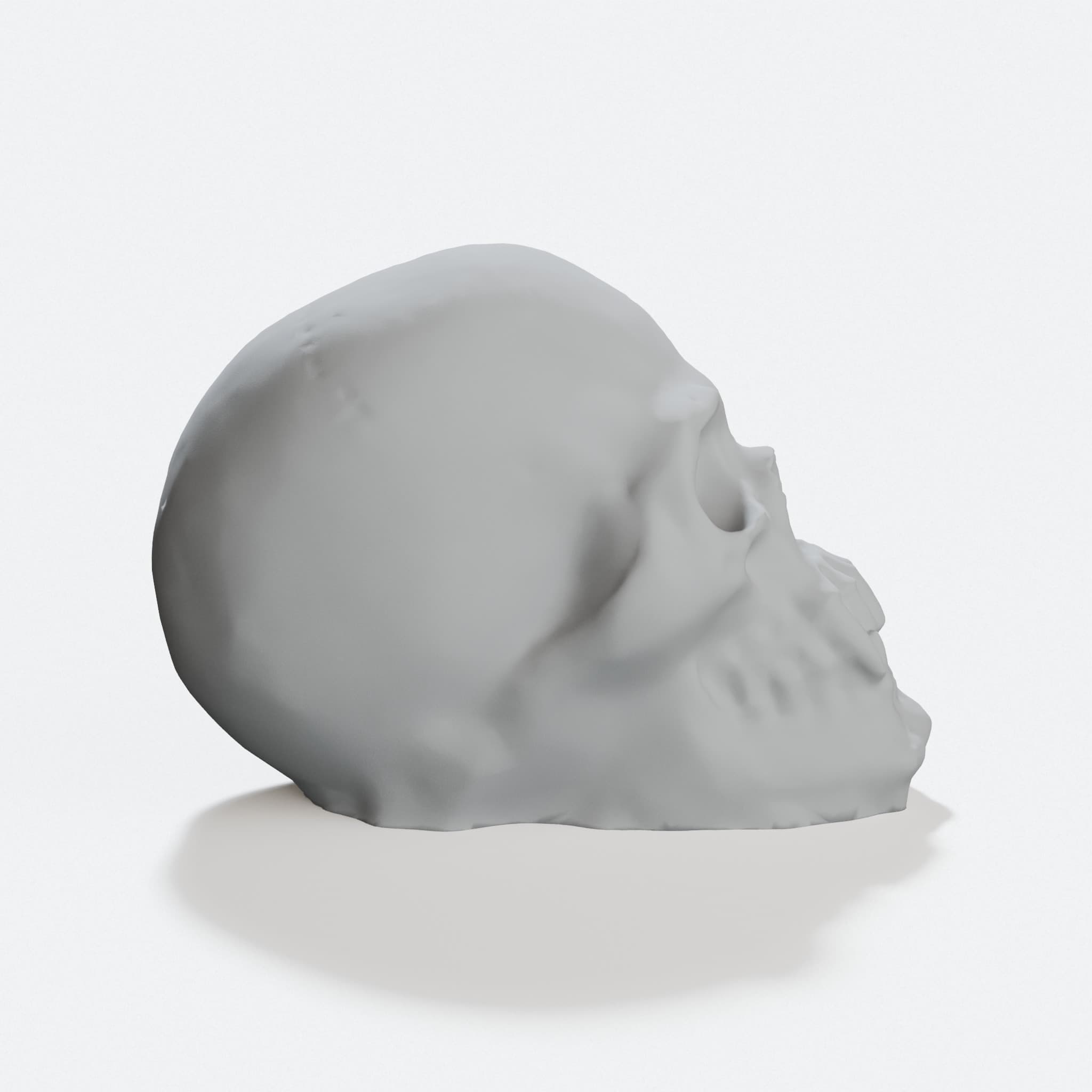 Vampire Skull with Pointed Teeth – 3D Printed Home Decor