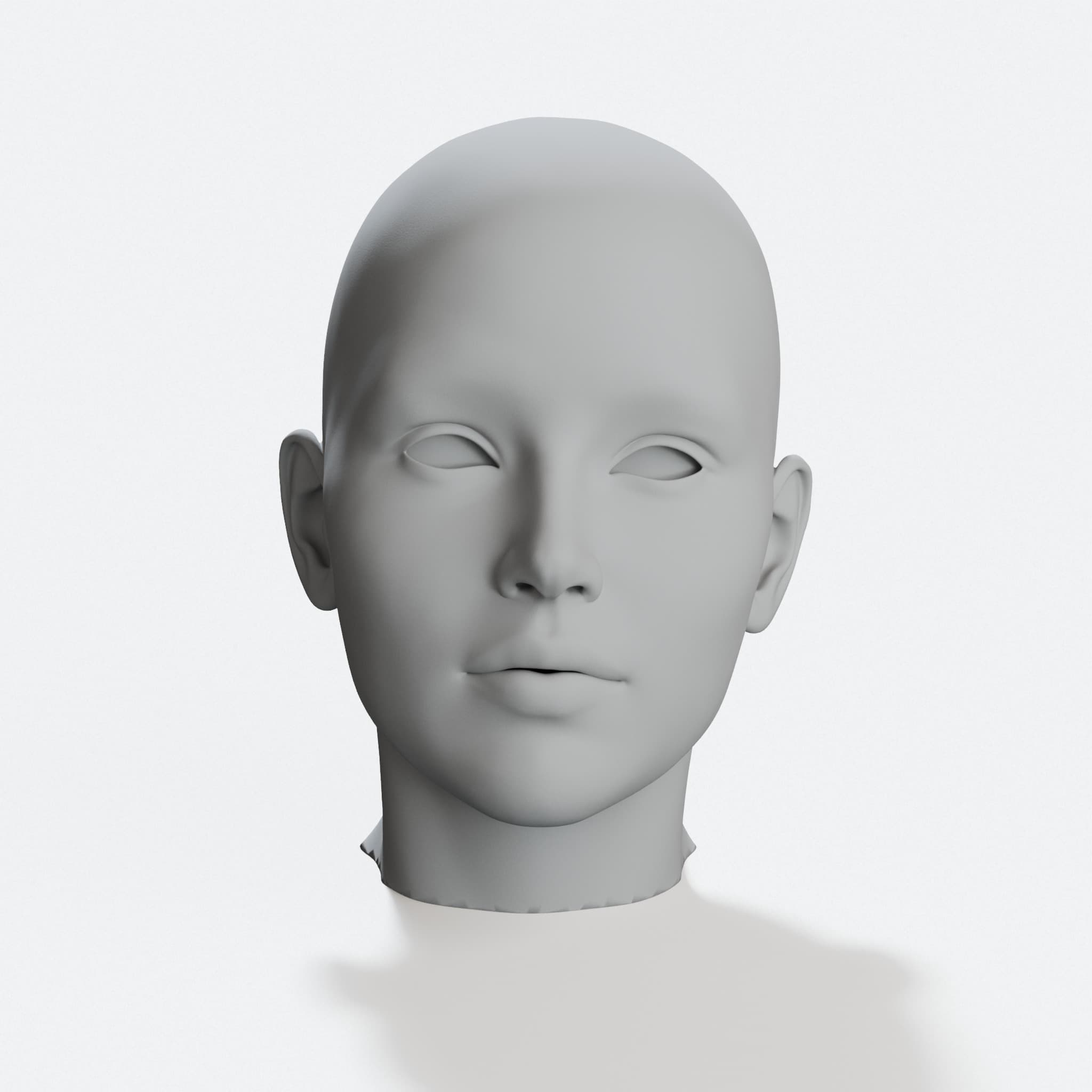 Head Sculpture - 3D Printed Decorative Ornament
