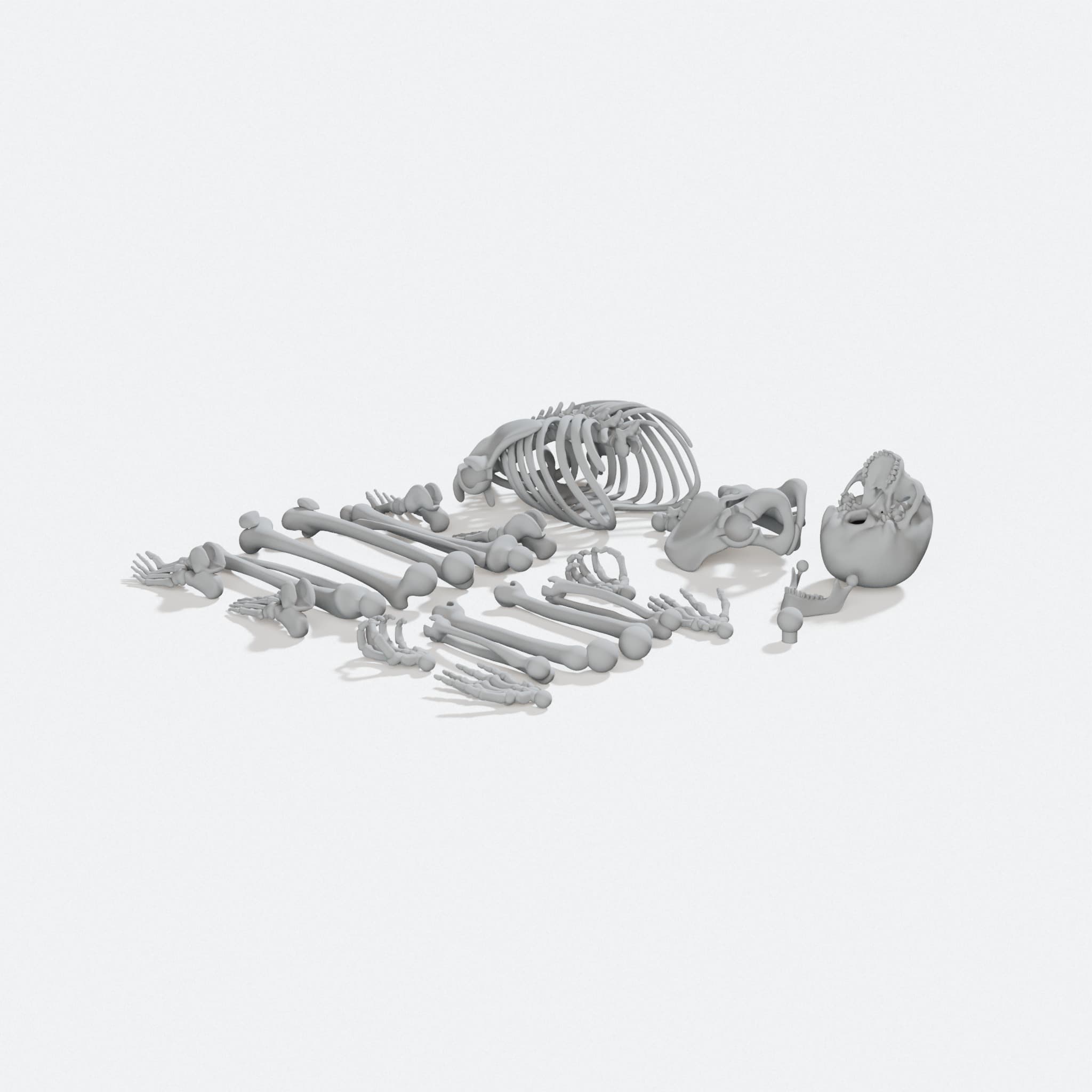 Posable Skeleton 3D Printed Toy, Mr Bones Remix