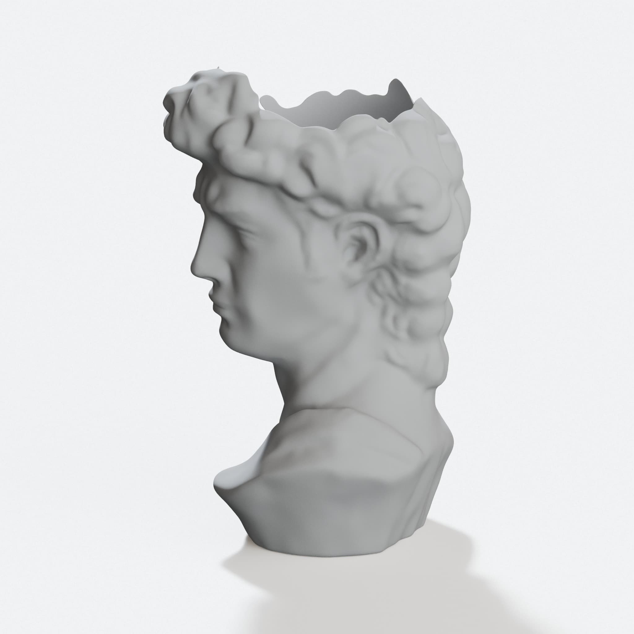 David Head 3D Printed Planter for Your Home