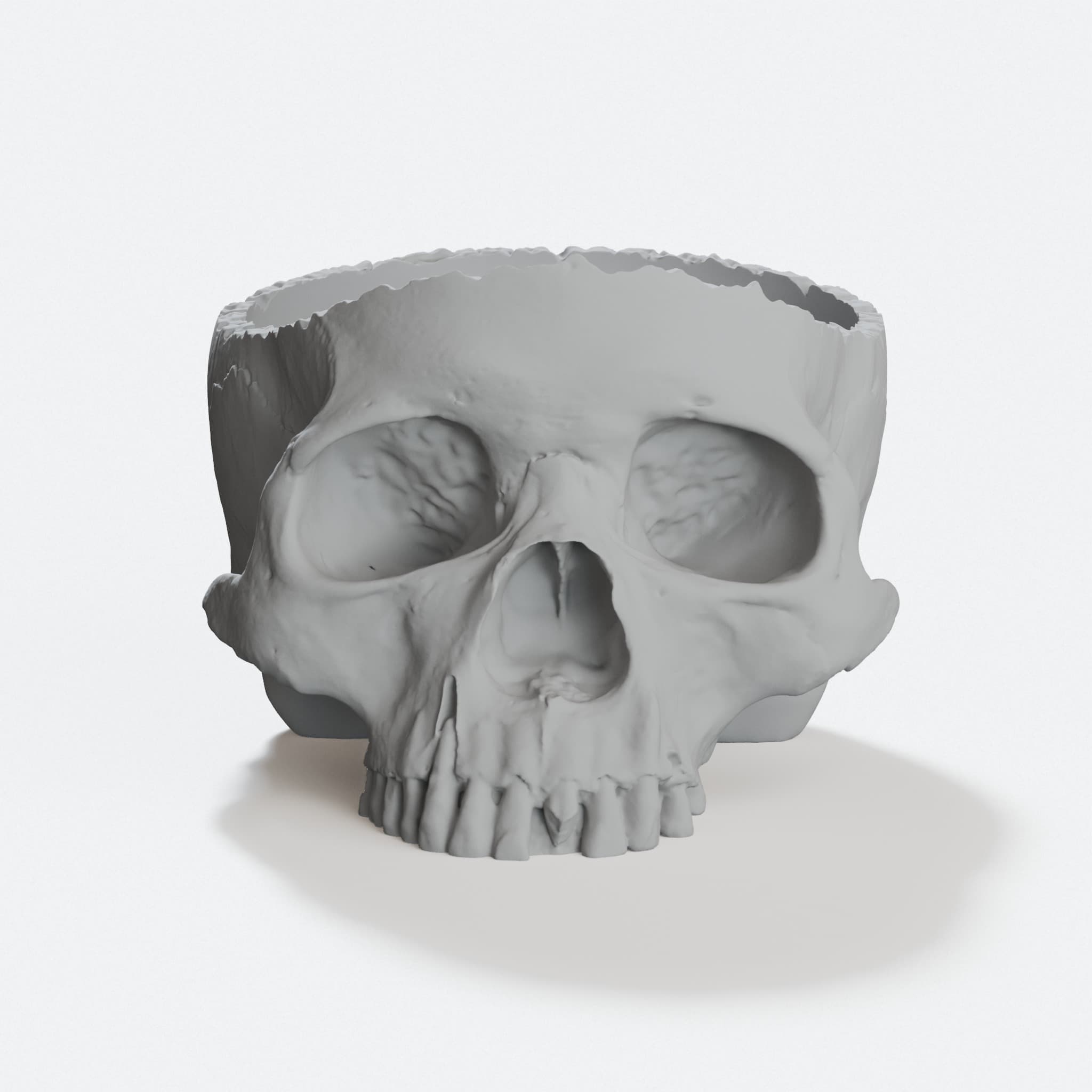 Wide Skull Bowl - 3D Printed Home Decor with Stable Base