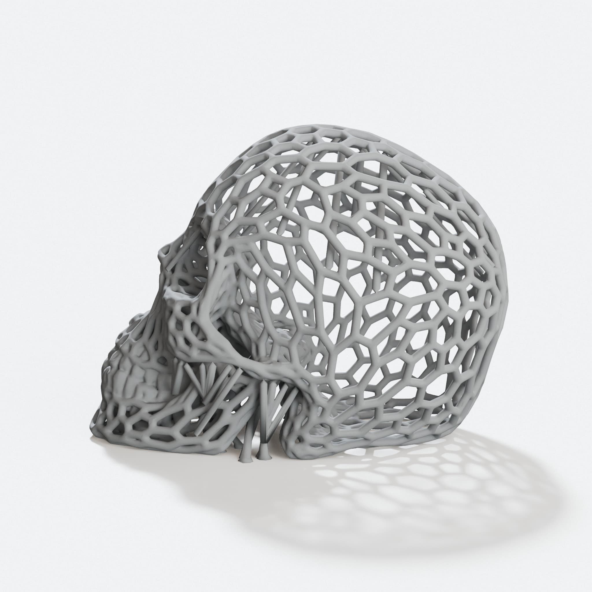 Voronoi Skull 3D Printed Wall Art Sculpture