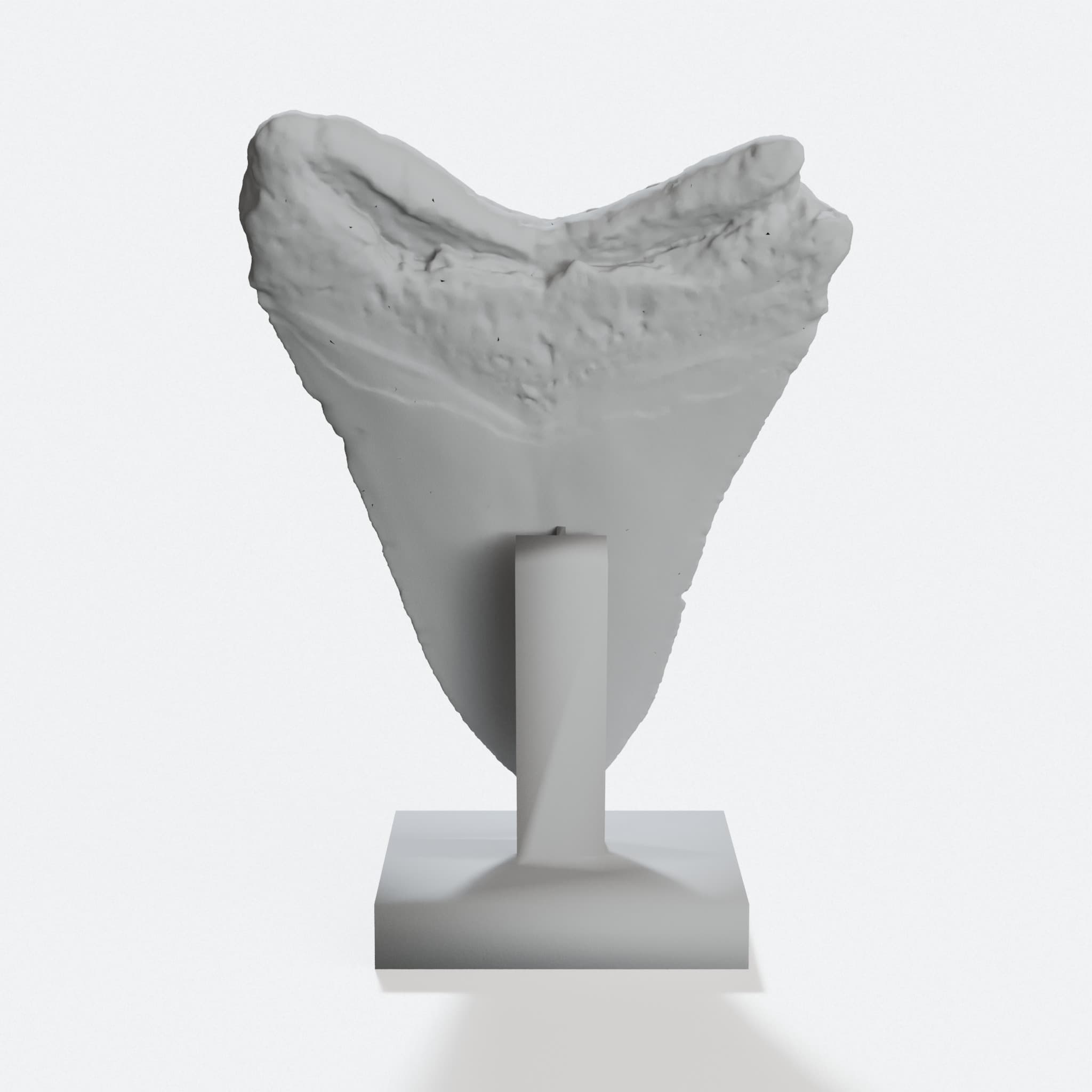 Giant Prehistoric Shark Tooth Replica with Stand