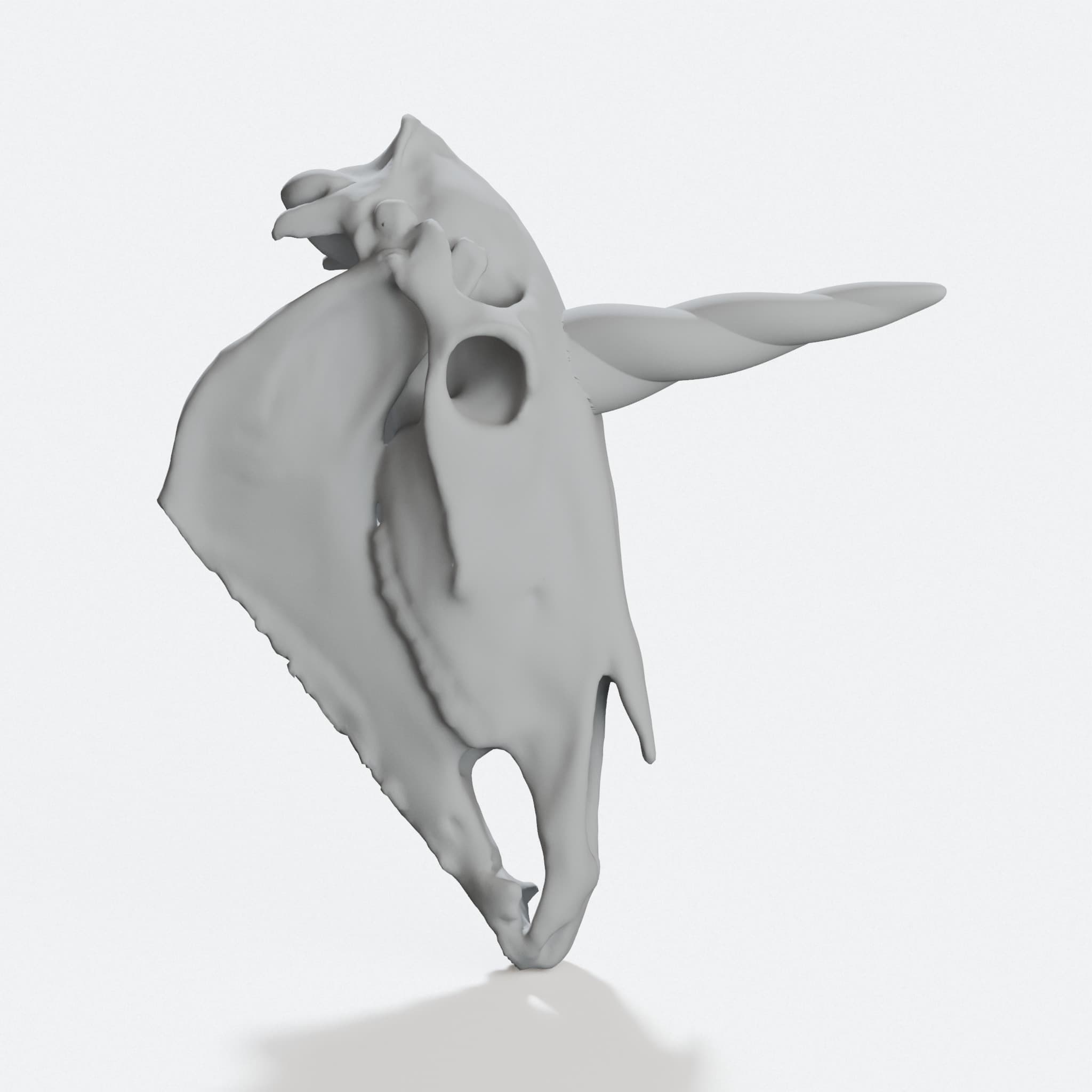 Unicorn Skull 3D Printed Home Decor