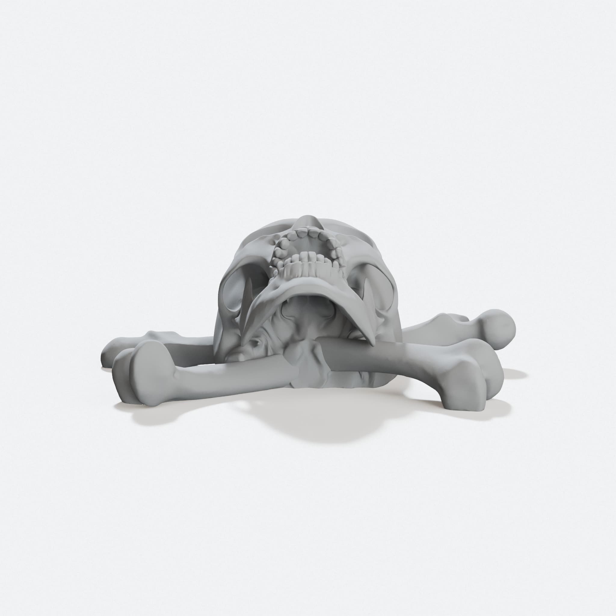 Jolly Roger 3D Printed Home Decor Skull