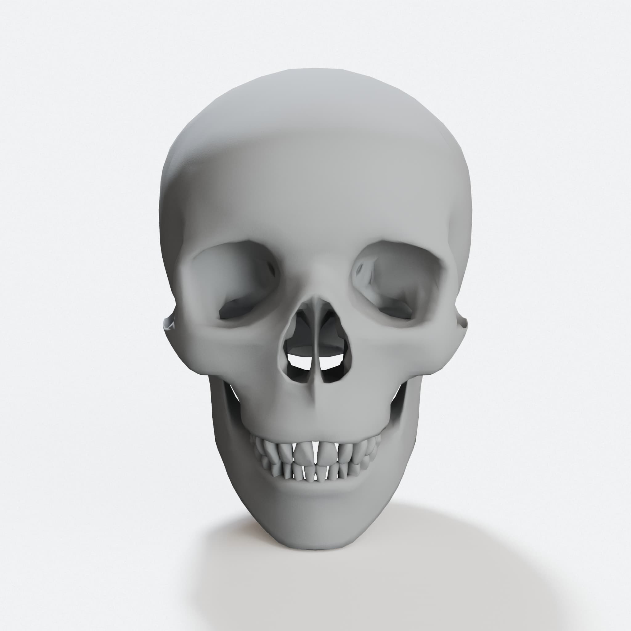 Human Skull 3D Printed Home Decor