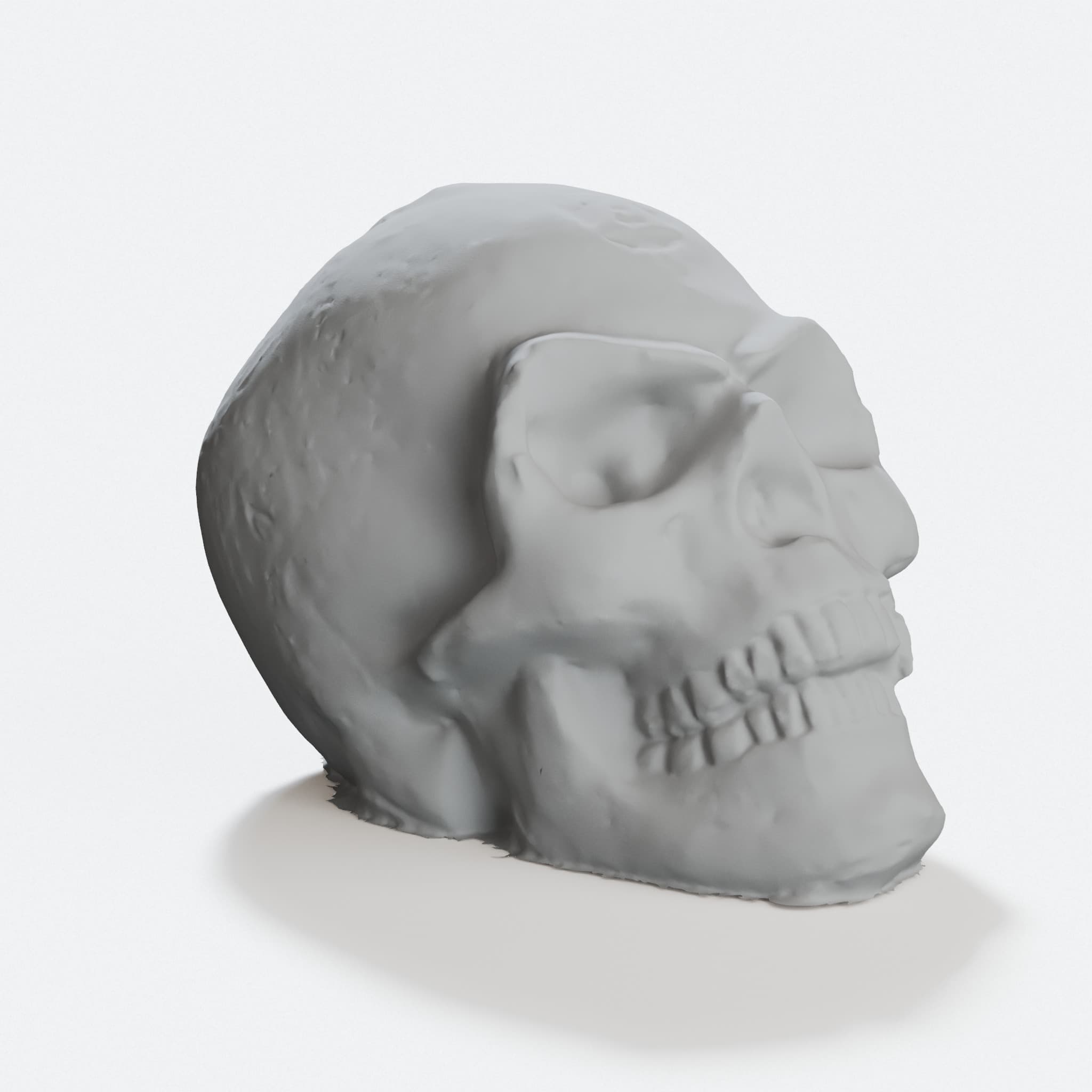 Alchemist Omega Skull Display Replica