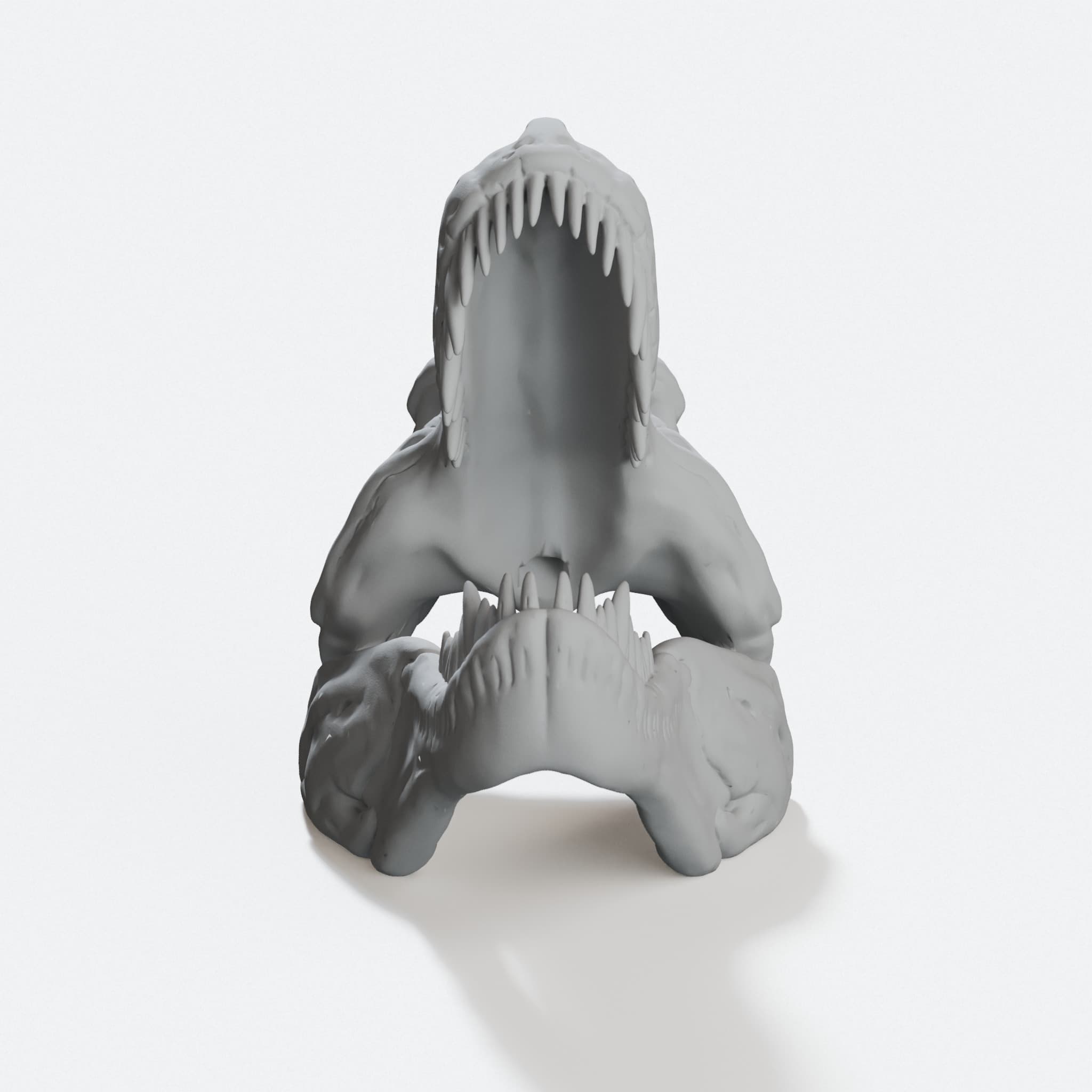 T-Rex Skull 3D Printed Home Decor