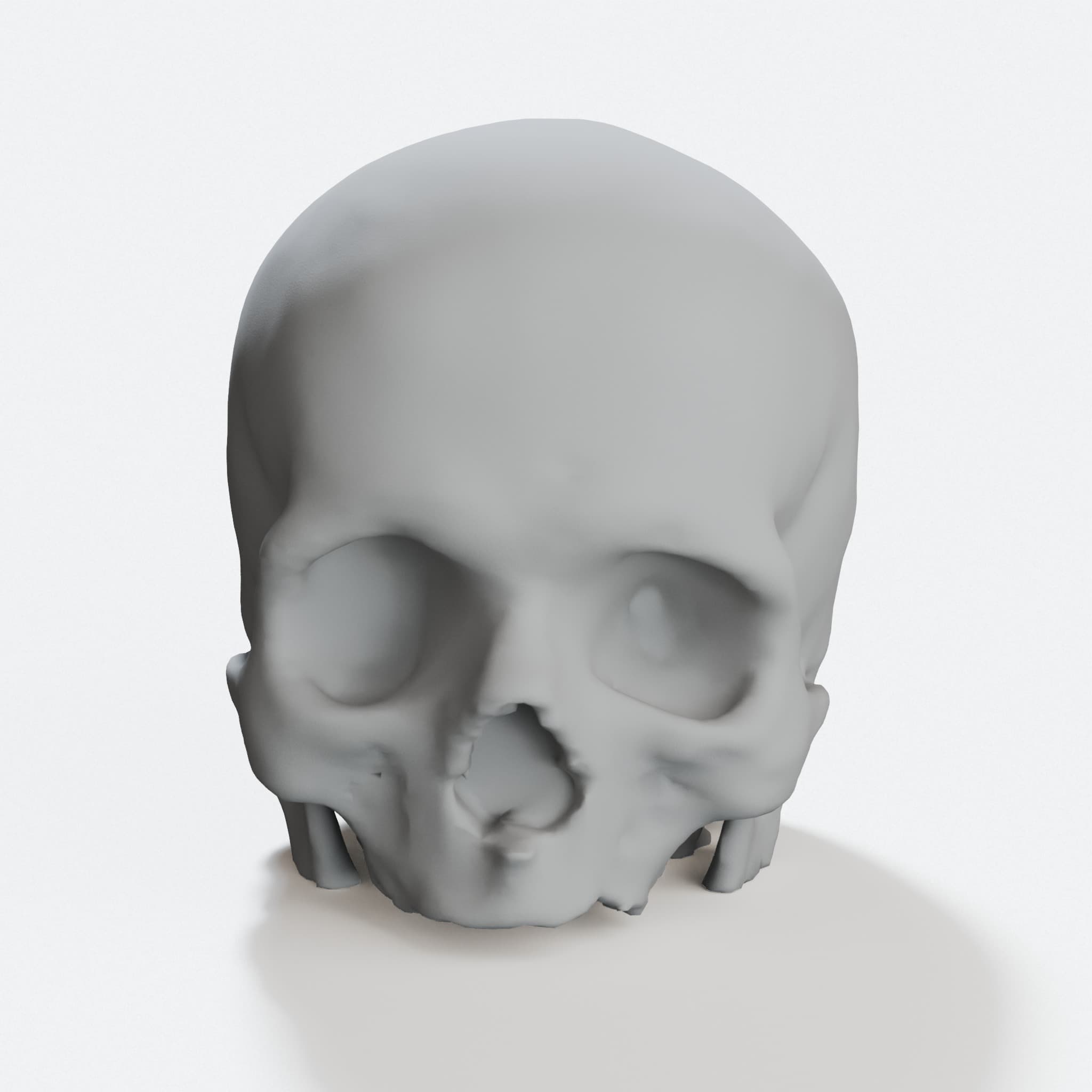 Hollow Skull 3D Print File – Anatomical Home Decor
