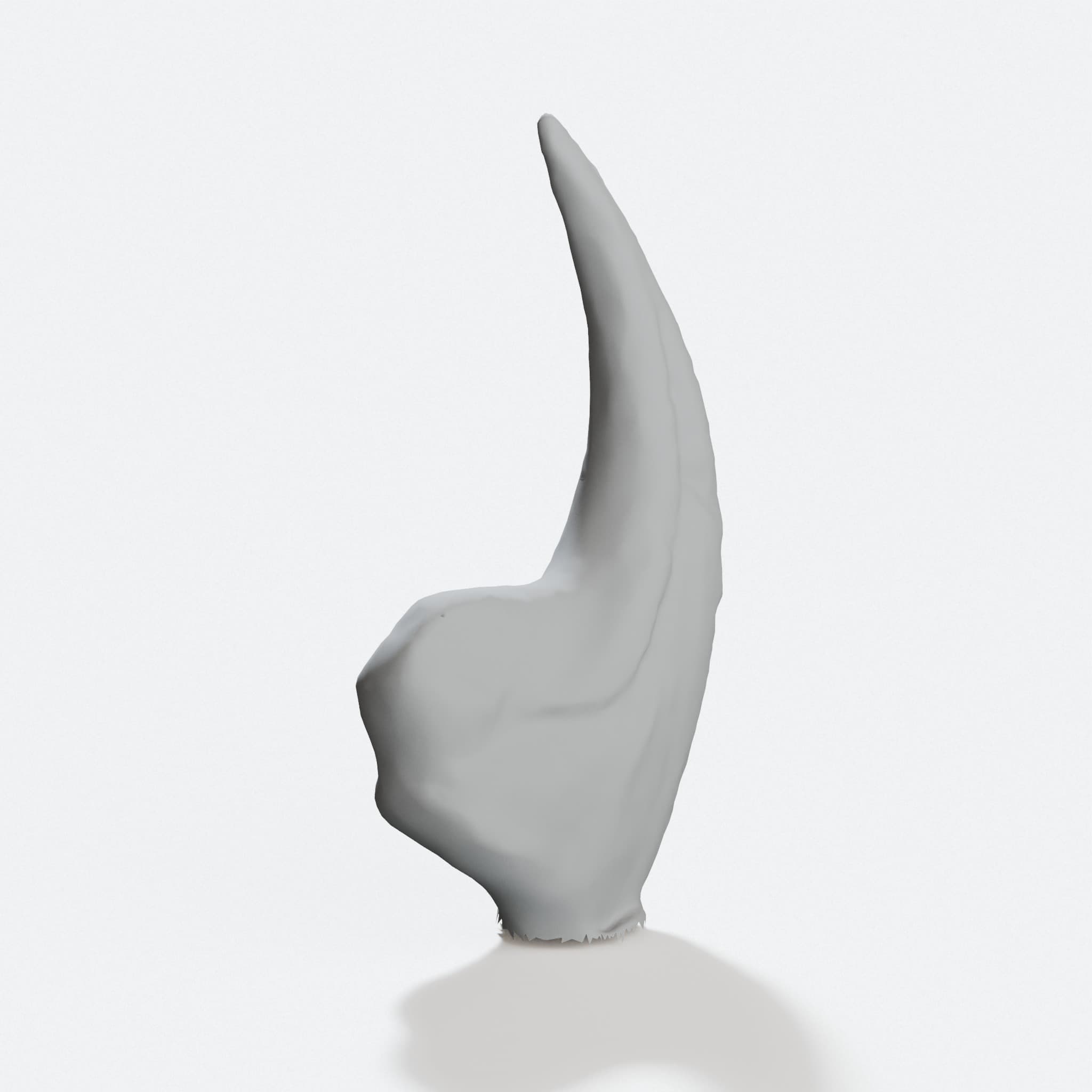 Allosaurus Claw Fossil Replica – 3D Printed Dinosaur Toy