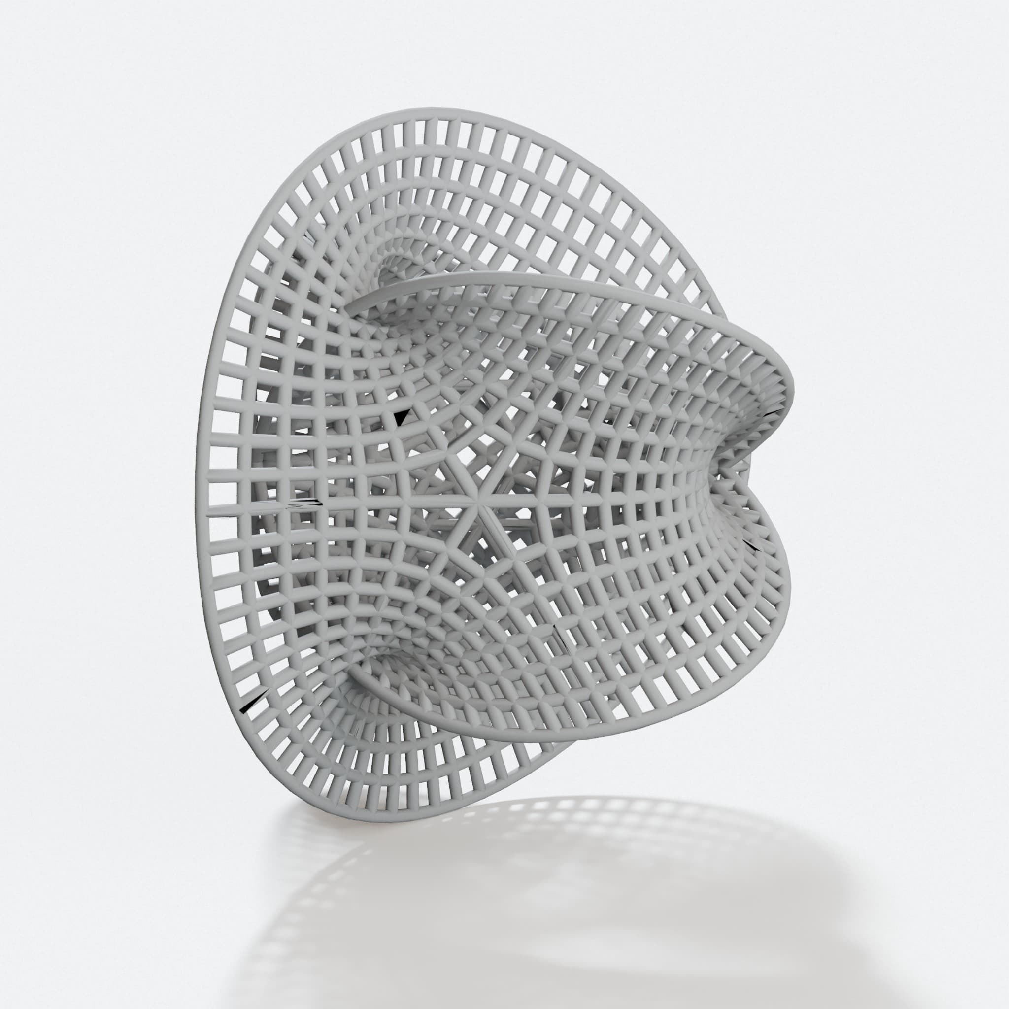 Calabi-Yau Manifold 3D Printed Wall Art – Math & Physics Decor