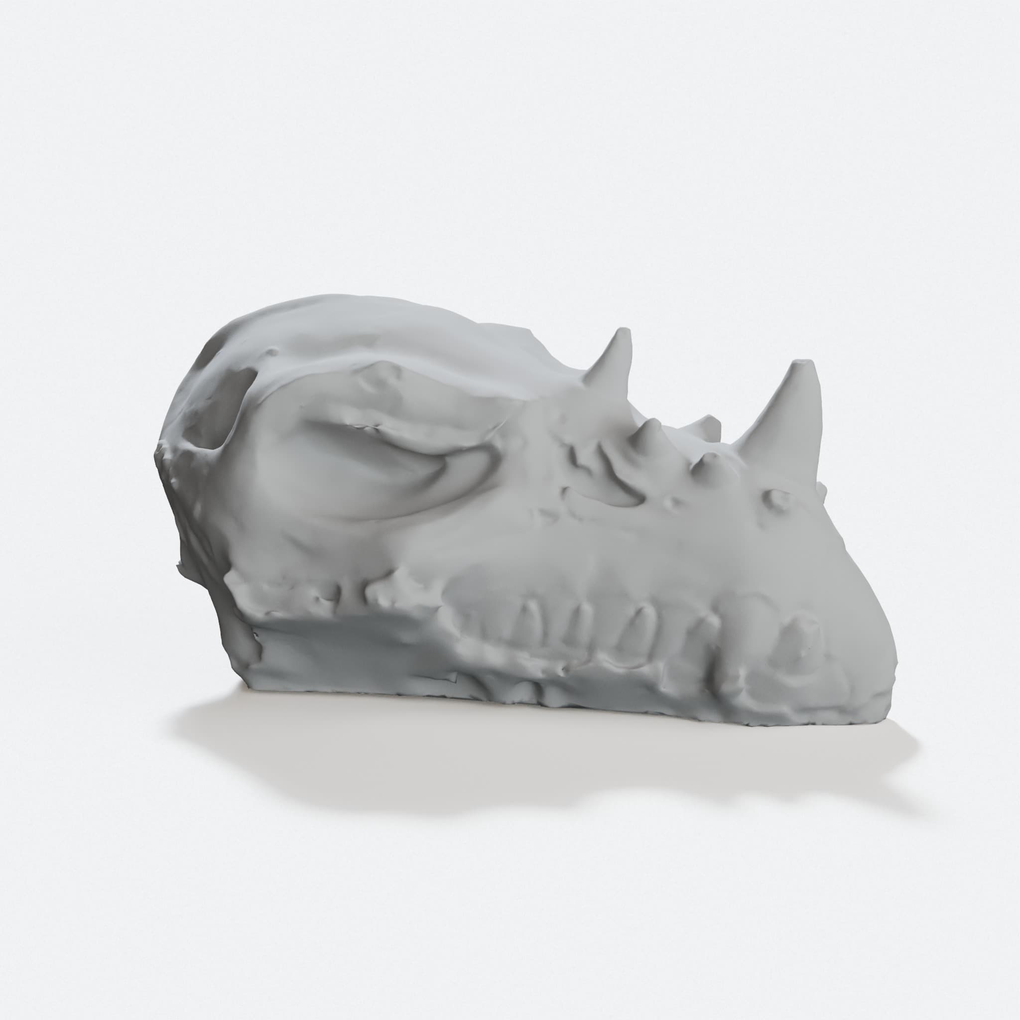 Dragon Skull 3D Printed Home Decor Piece