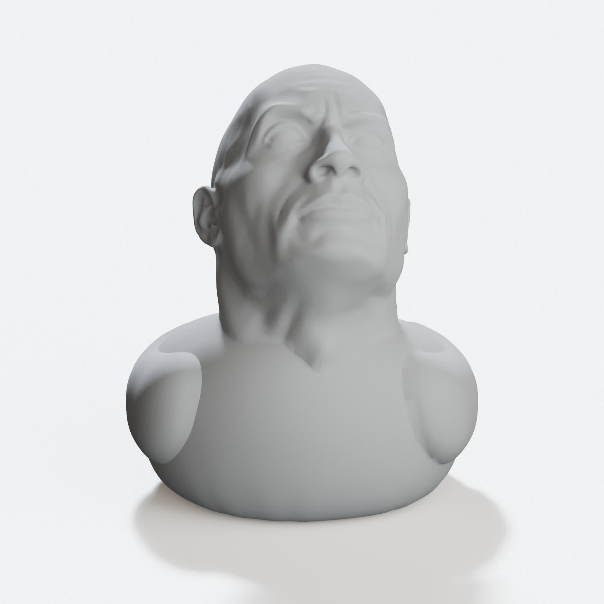 Dwayne the Duck Johnson 3D Printed Toy