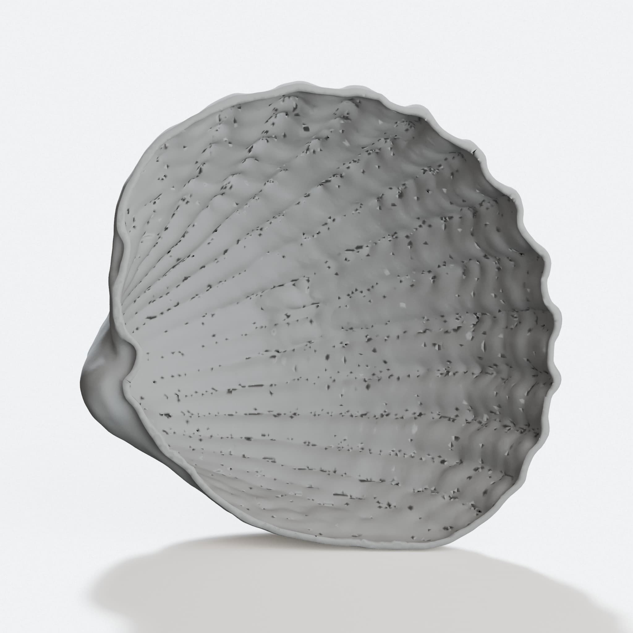 3D Printed Sea Shell Home Decor Sculpture