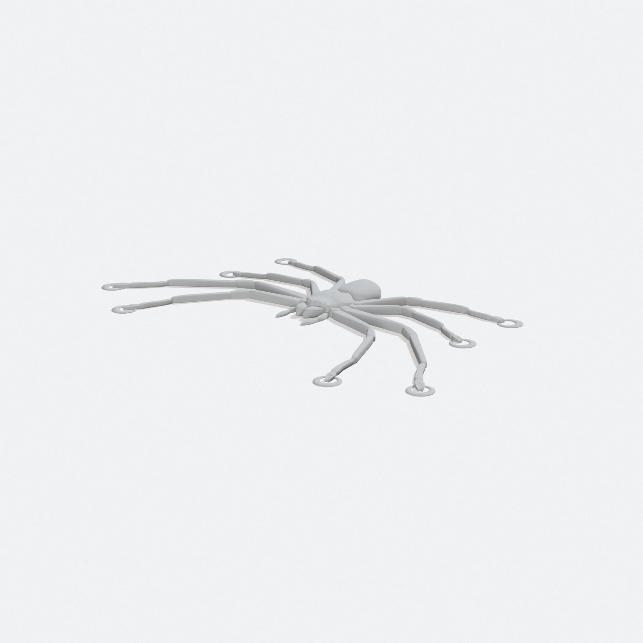 Huntsman Spider 3D Printed Home Decor