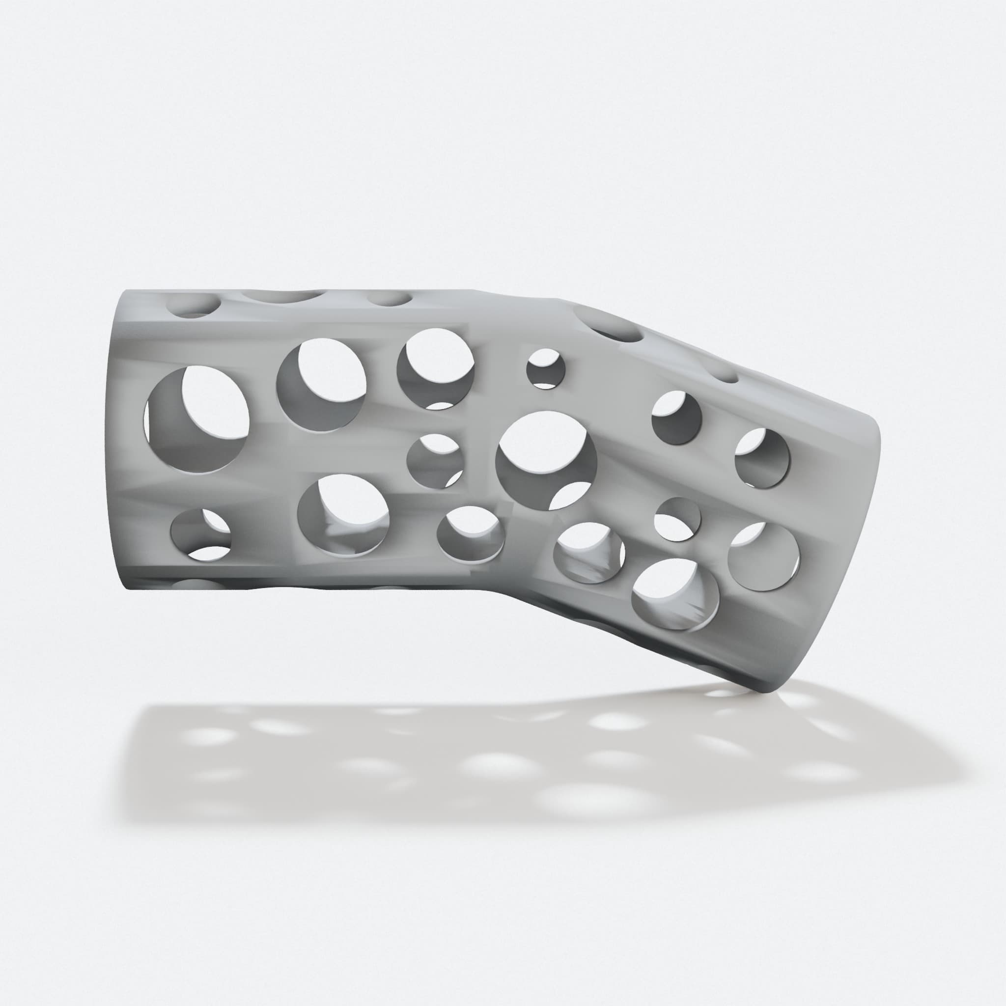 Custom Dog Leg Brace: 3D-Printed Support