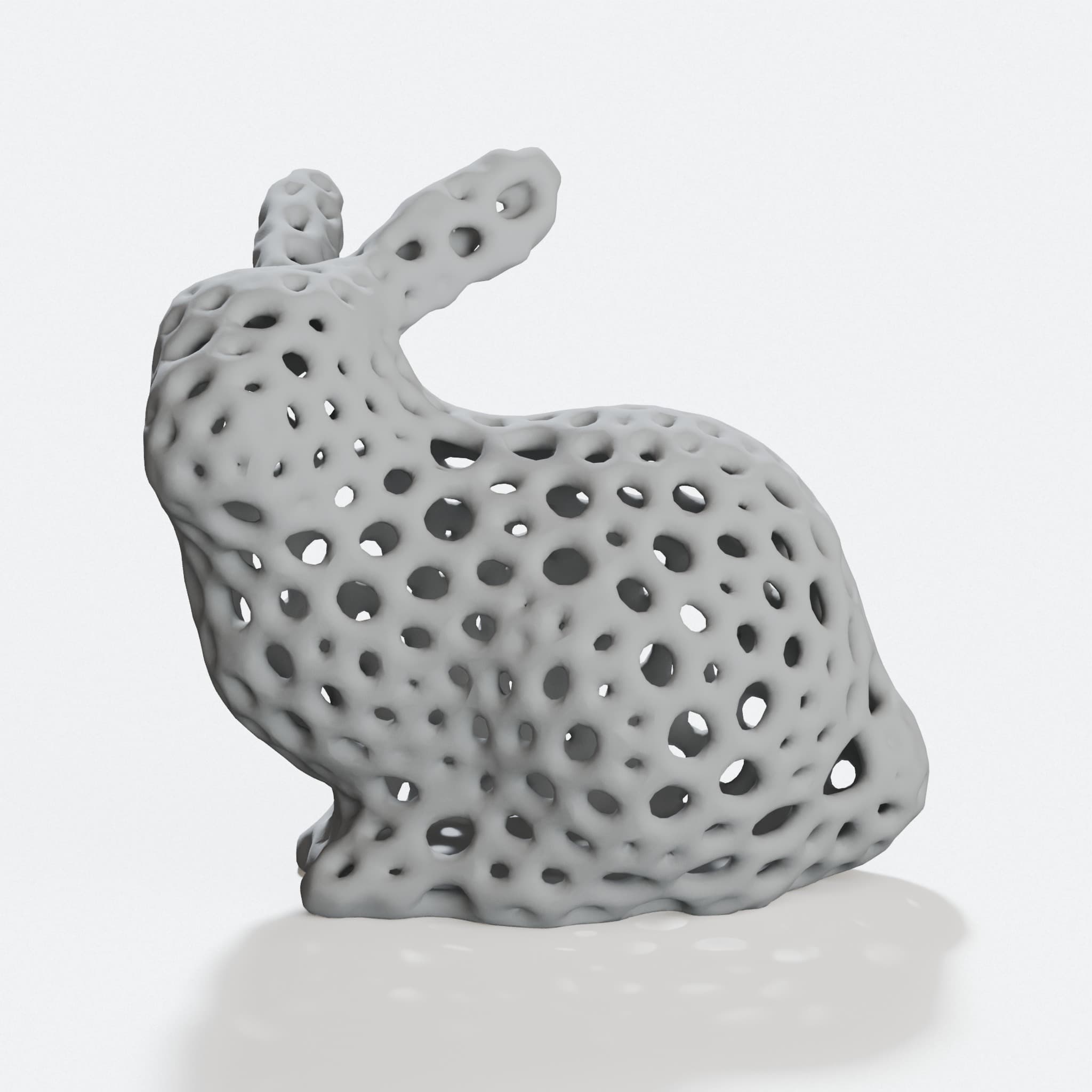 Voronoi Rabbit