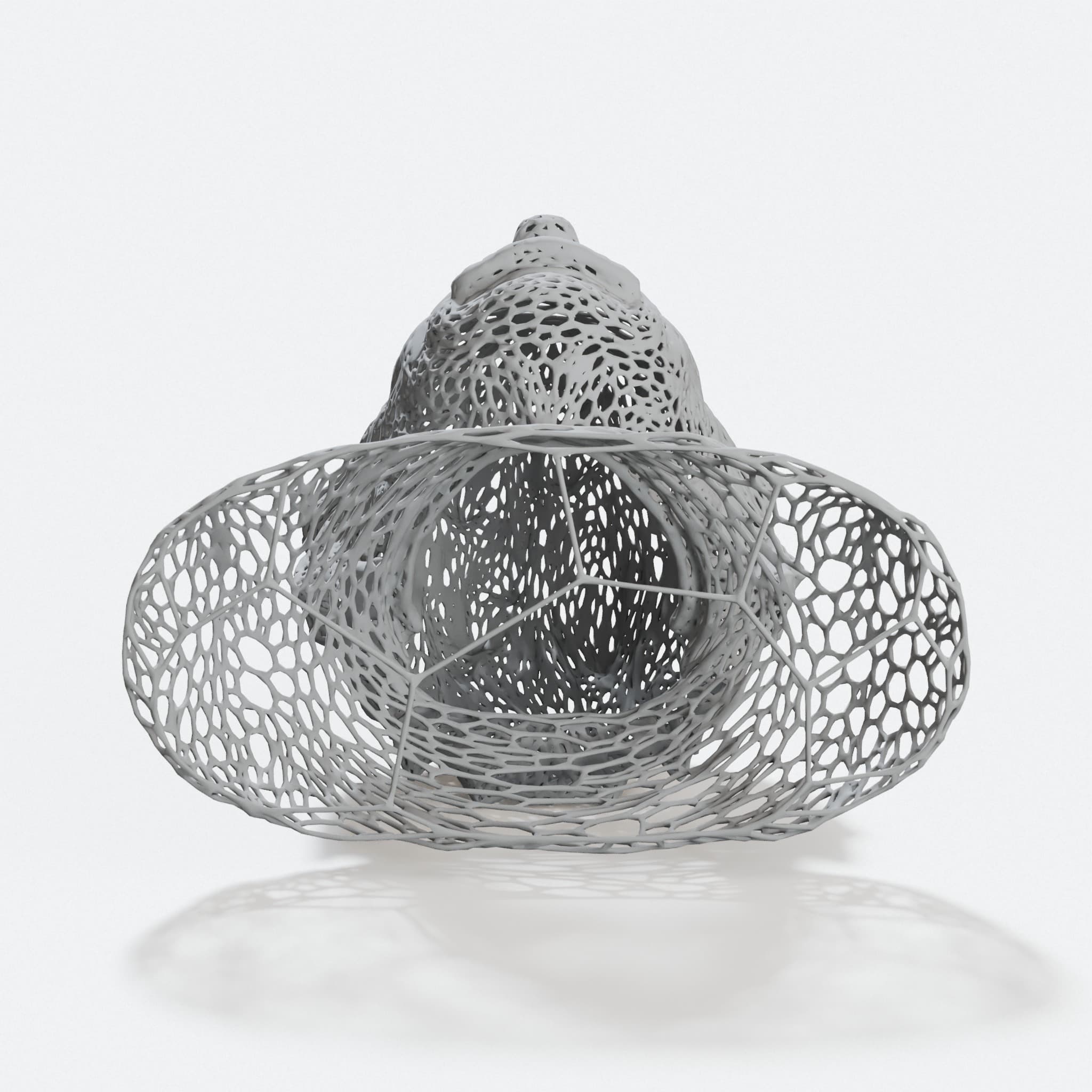 Einstein Voronoi - Low Poly Style