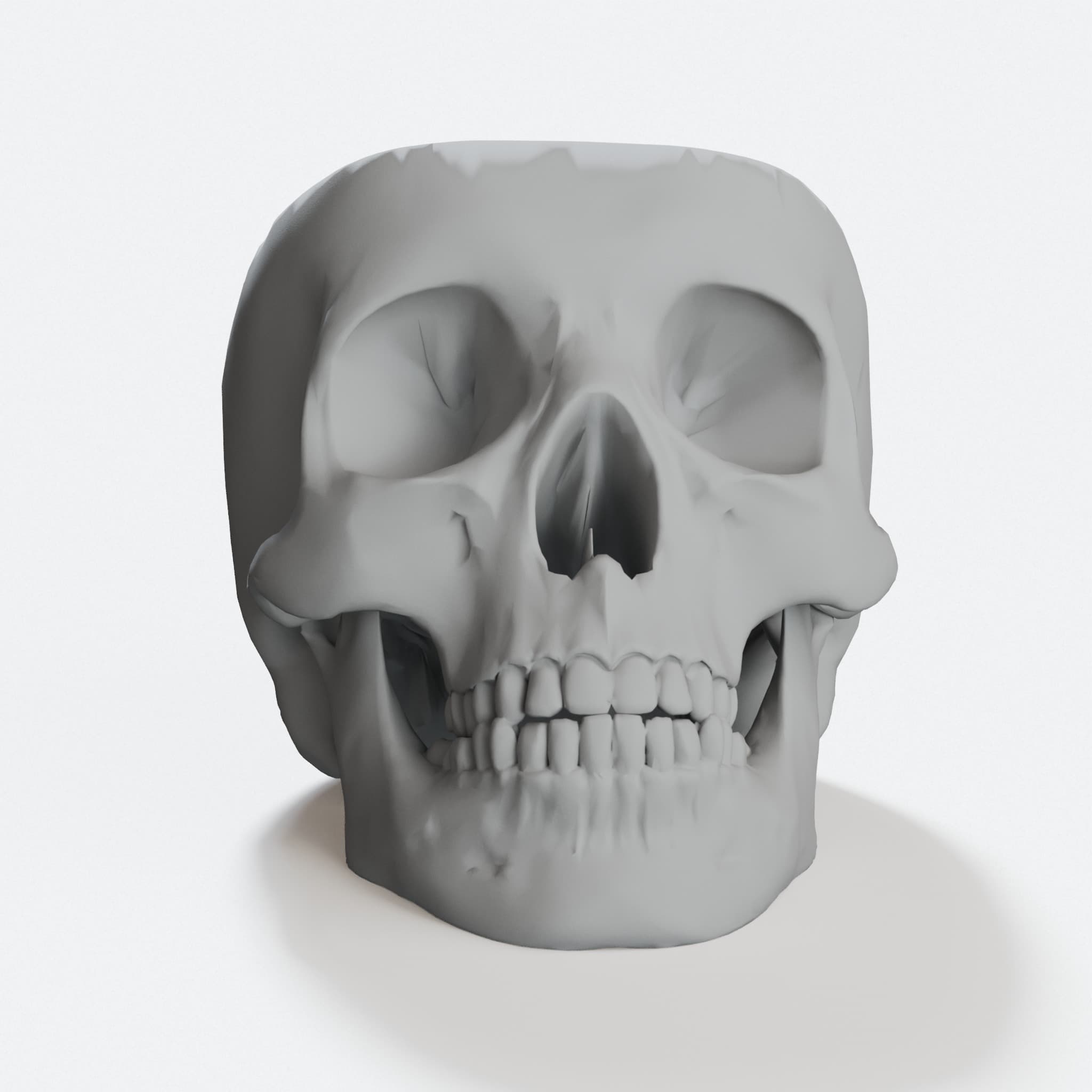 Skull Token Tray, 3D Printed Toys Storage