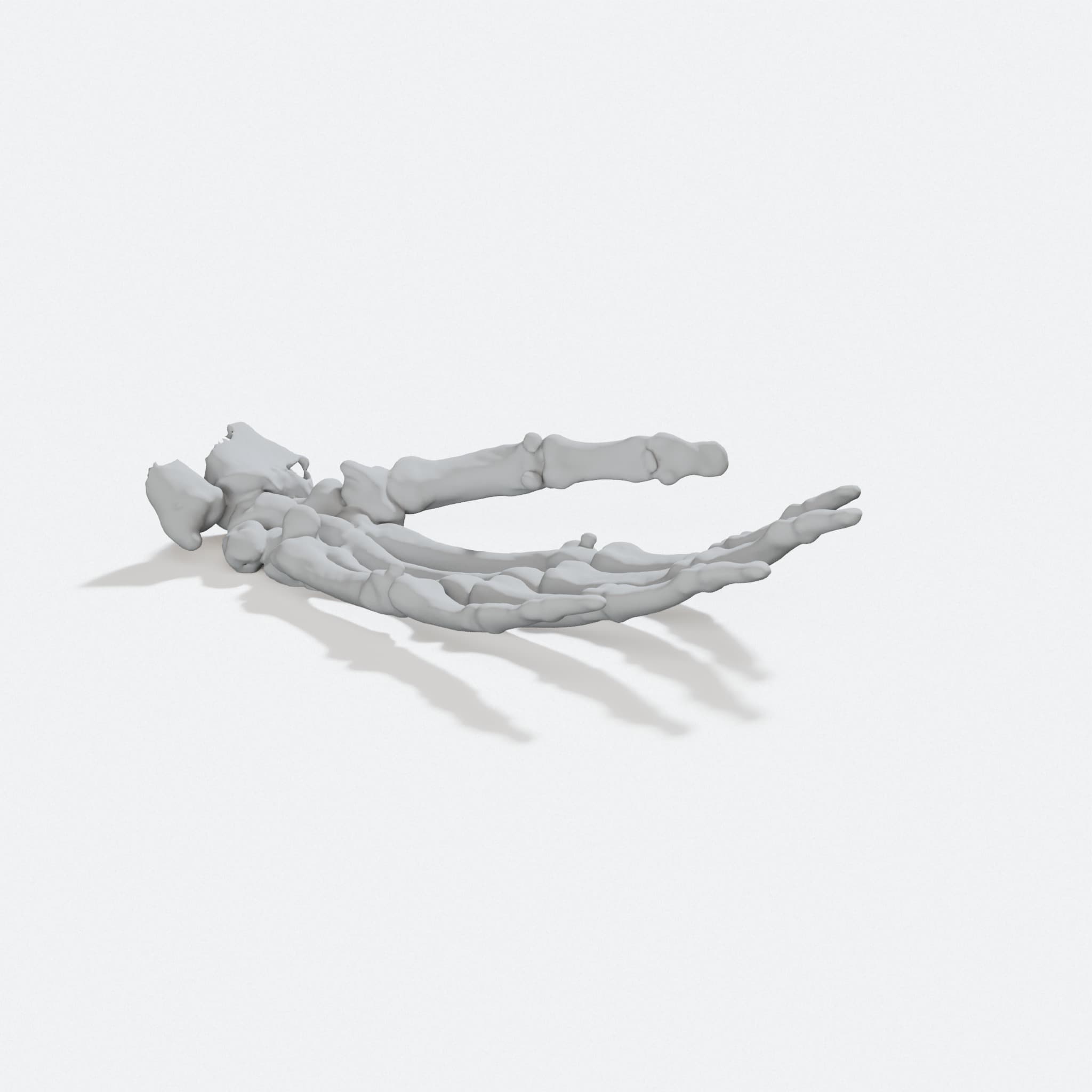 Skeleton Hand 3D Printed Soap Dish Home Decor