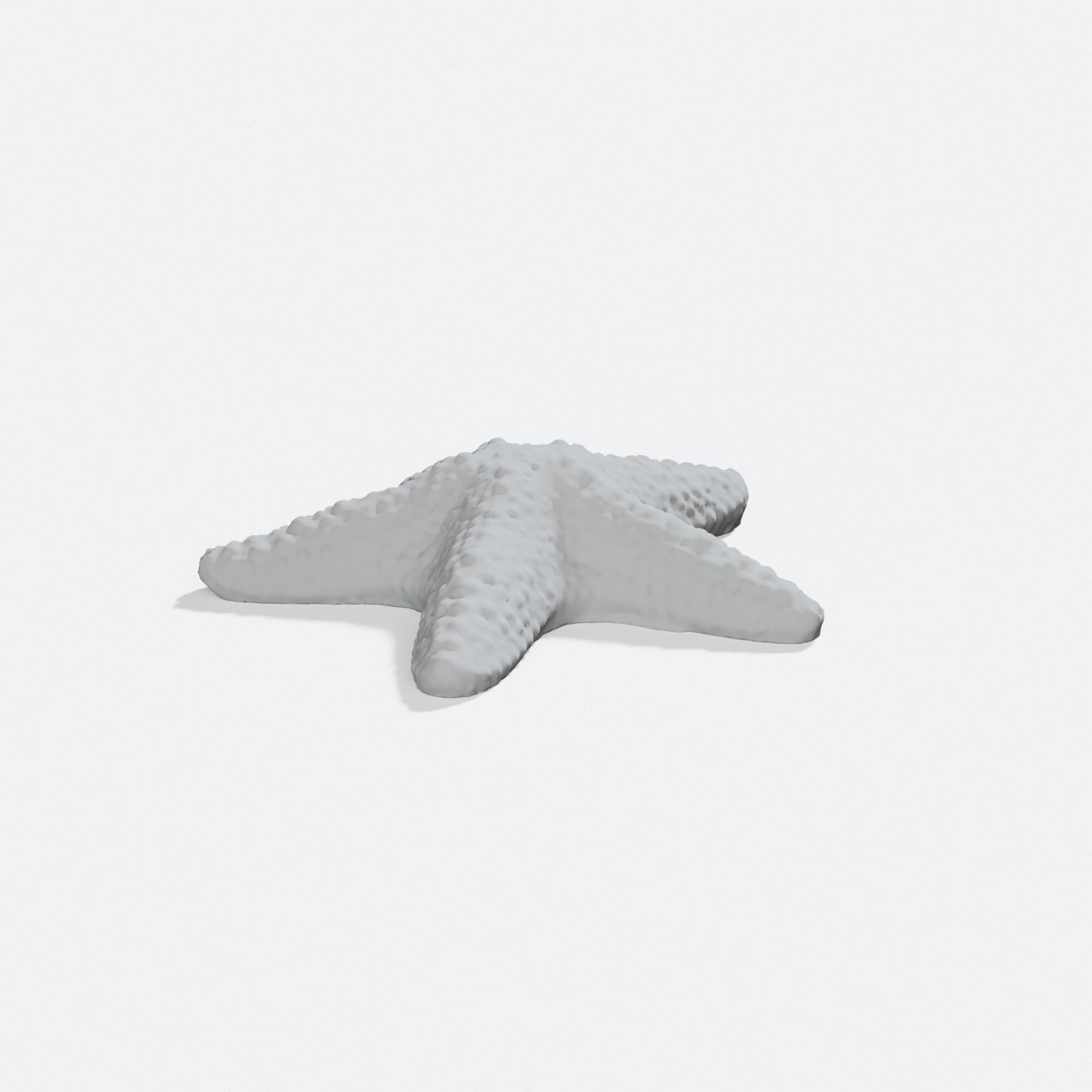 3D Printed Starfish Home Decor