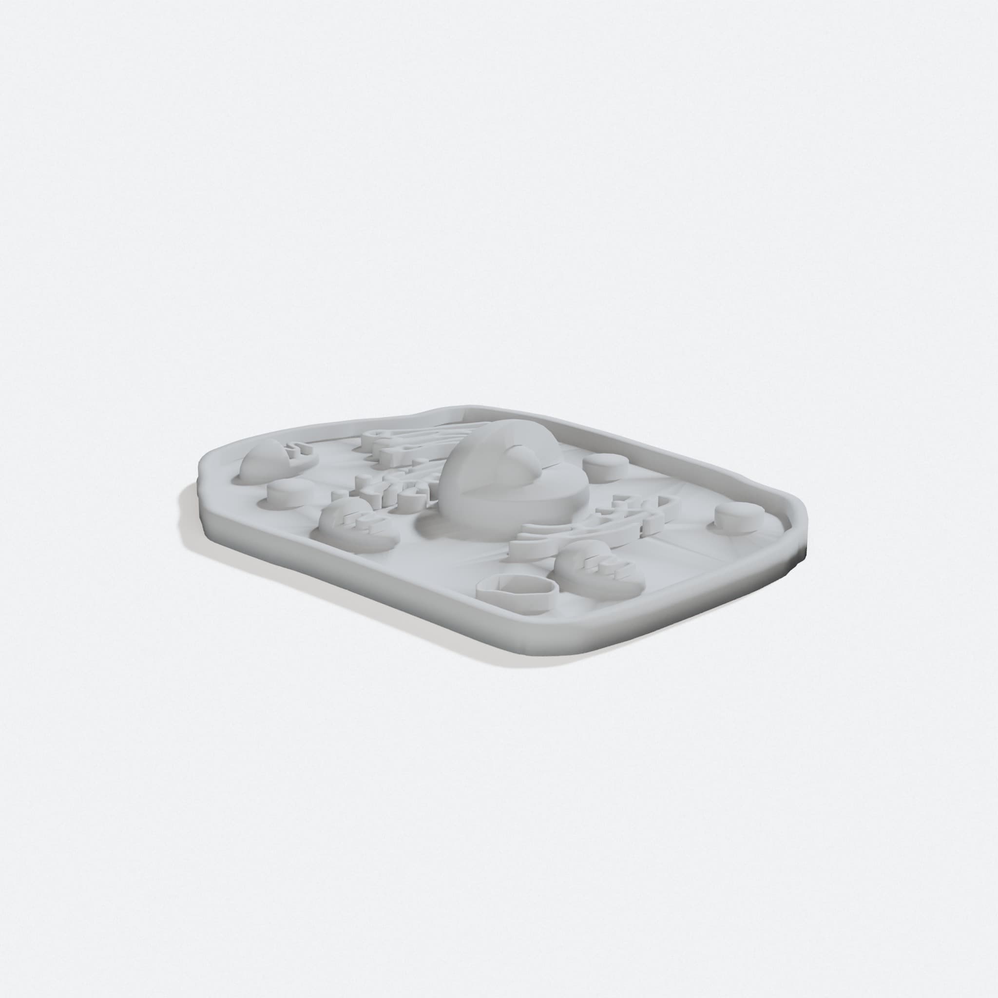 Animal and Plant Cell Construction Kit, STEM Biology Set
