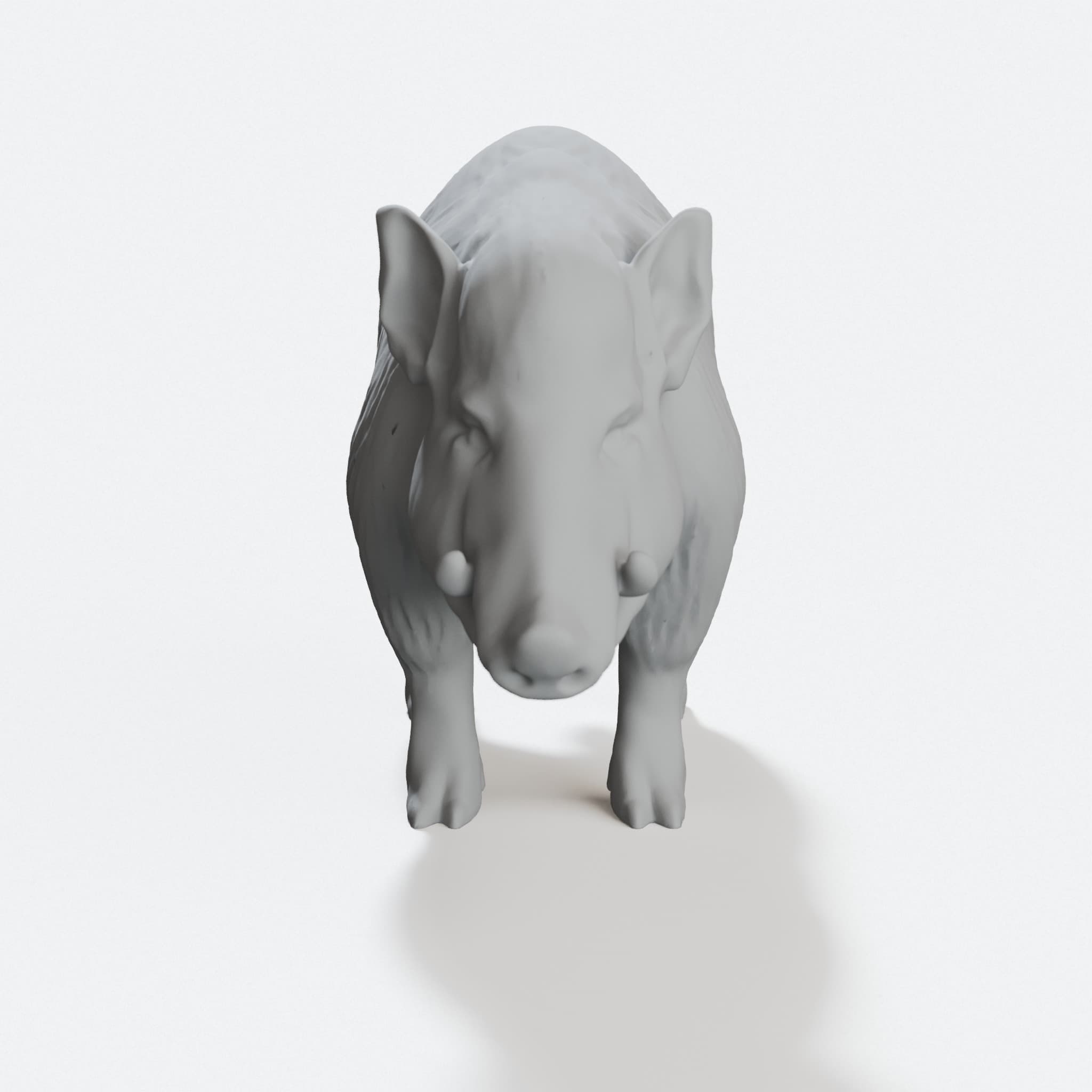 Wildboar 3D Printed Toy, 3D Printable Animal Design