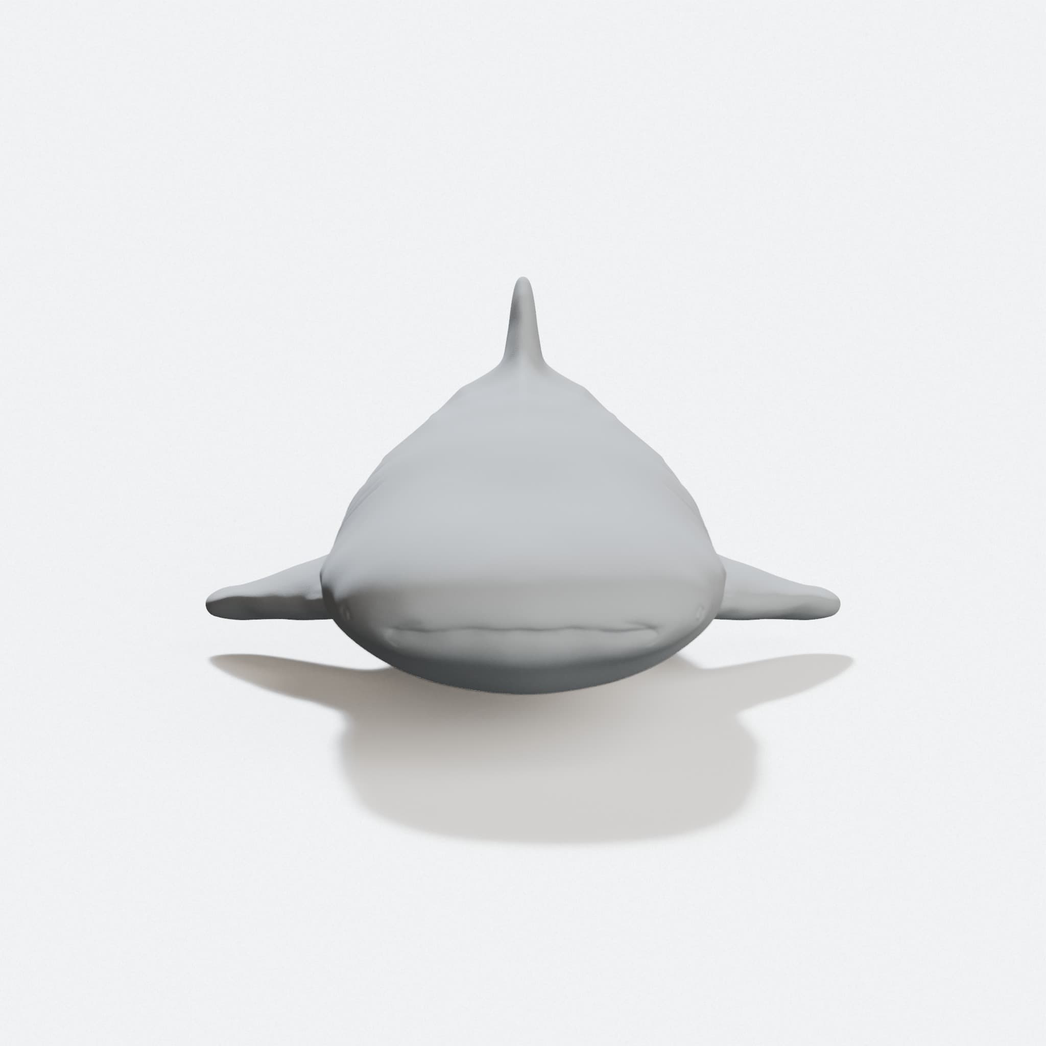 ジンベエザメ(Whaleshark)3Dデータ