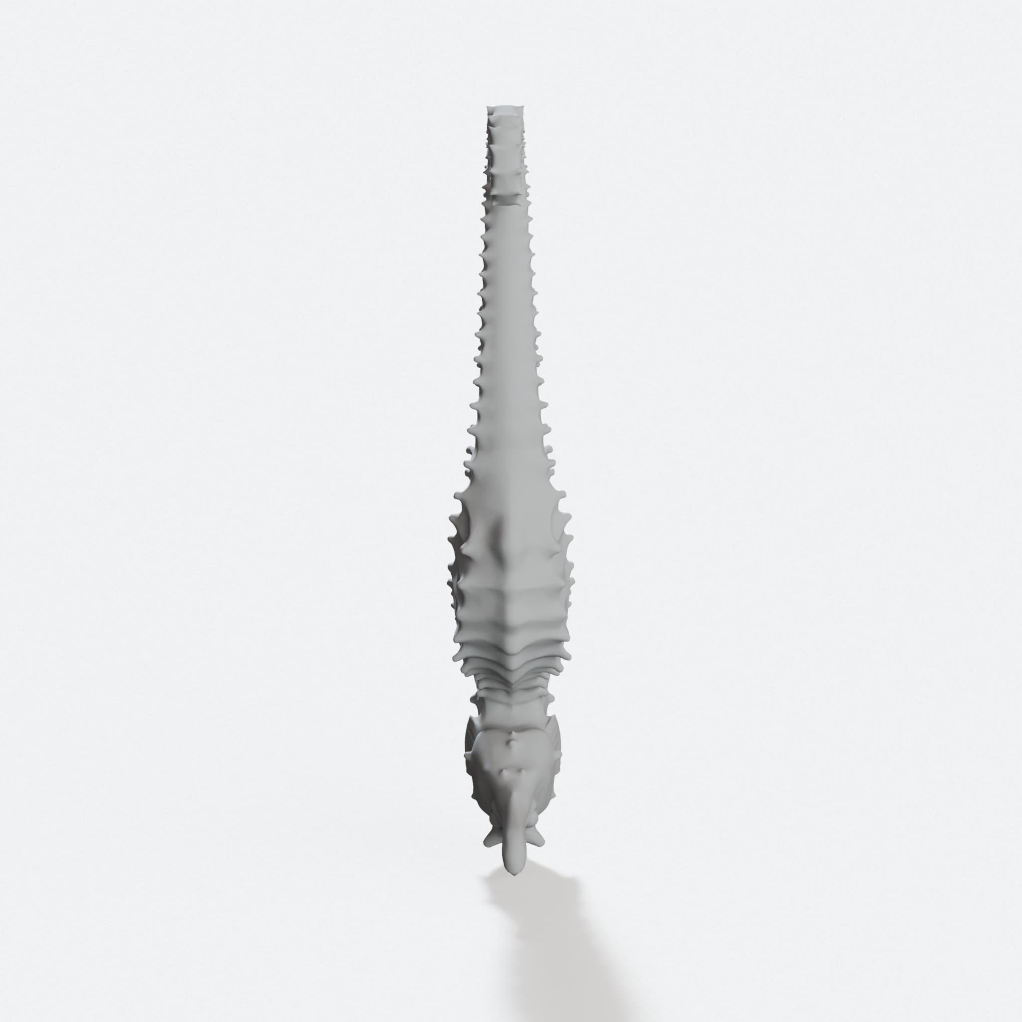 Seahorse 3D Decor Figurine for Sea Life Lovers