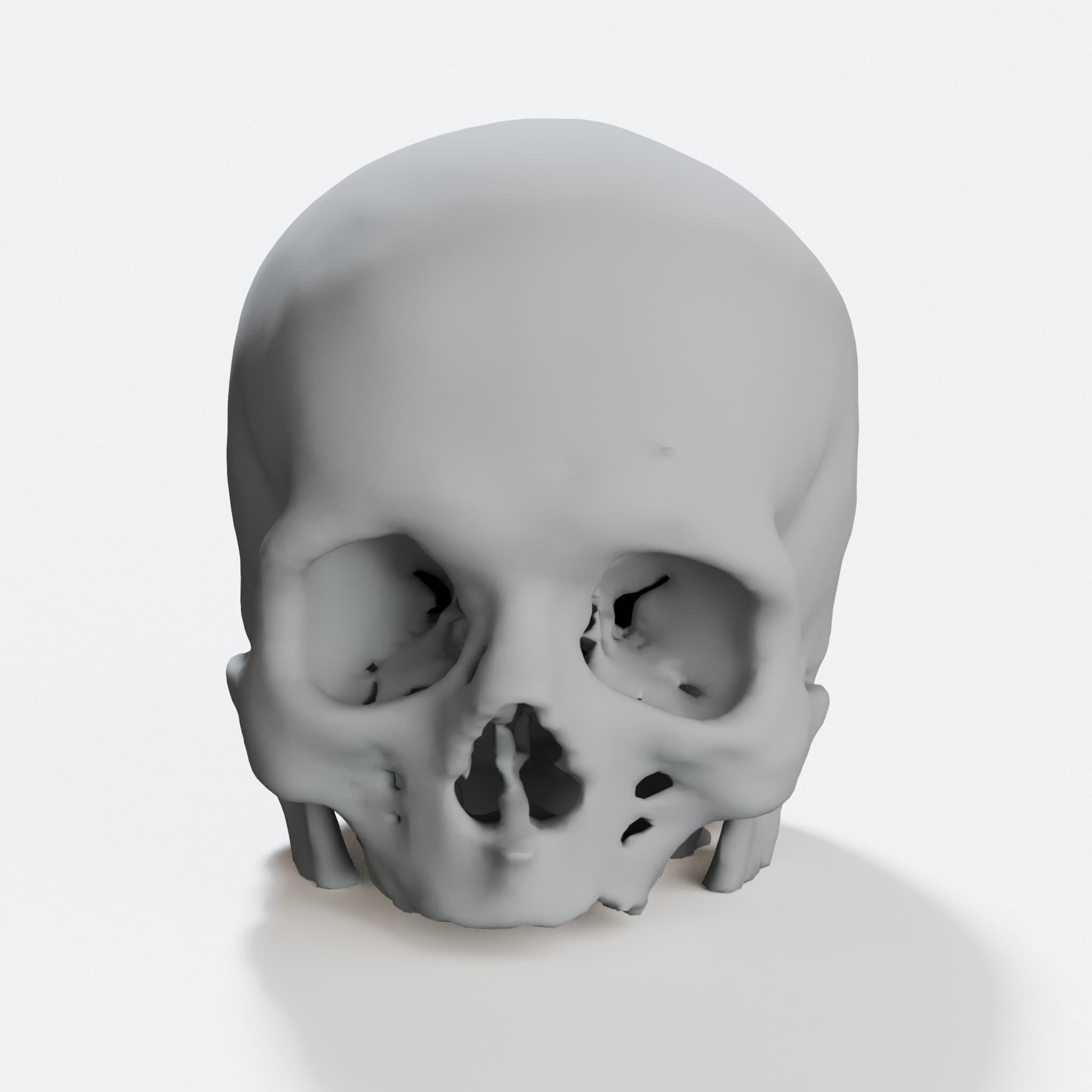 Anatomical Skull 3D Print Model – CT Scan Based Wall Art