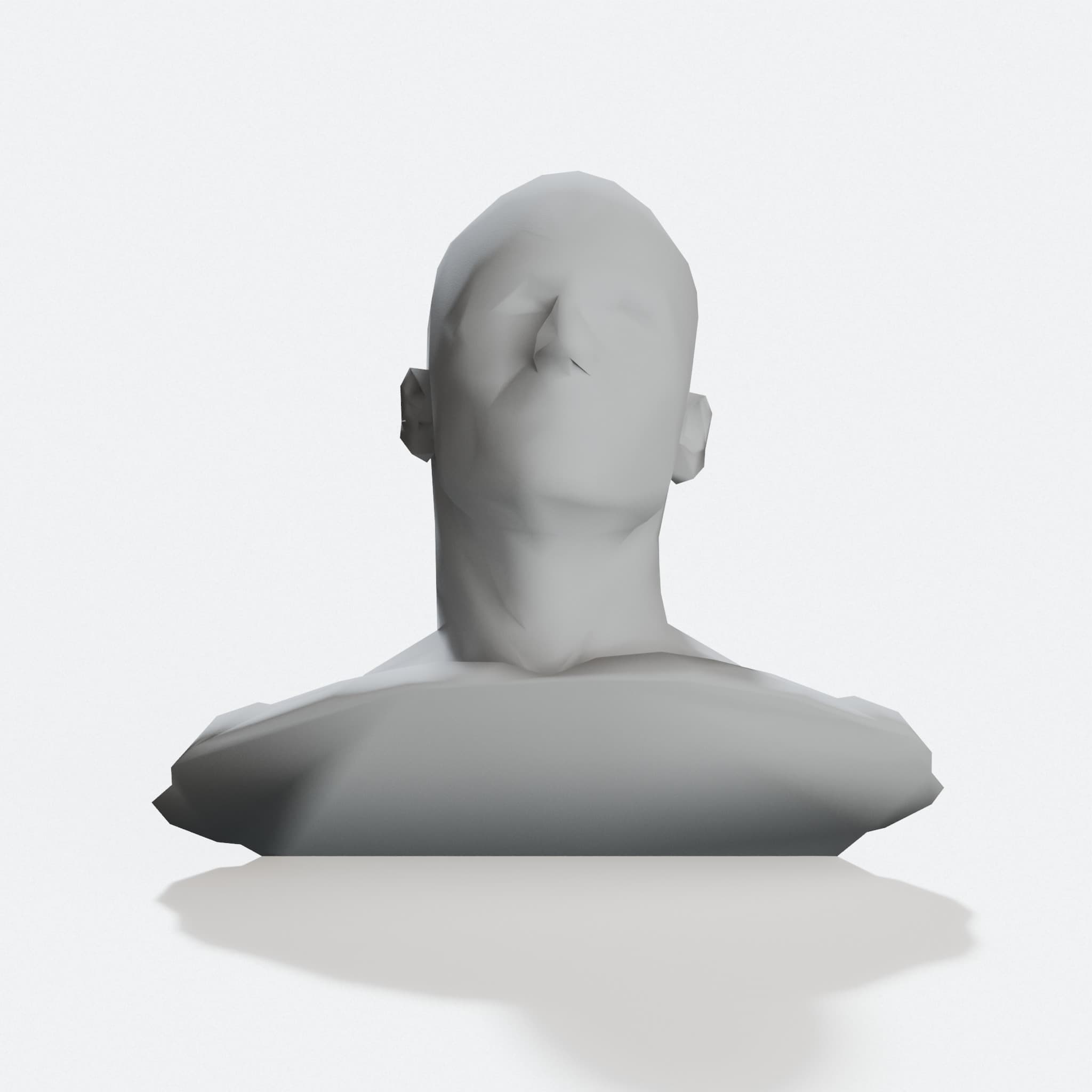 Low Poly Head 3D Printed Home Decor Bust