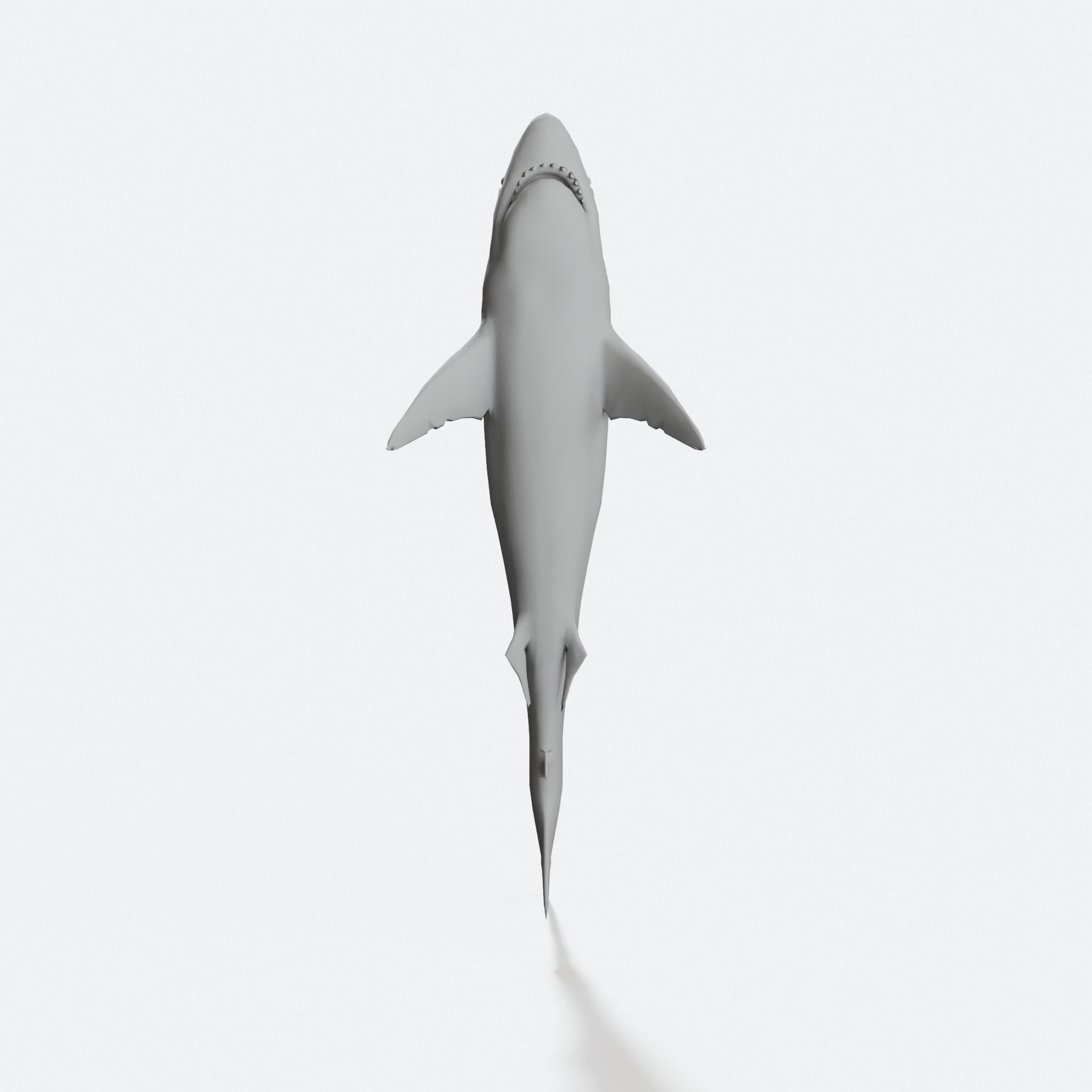 Great White Shark 3D Printable Model
