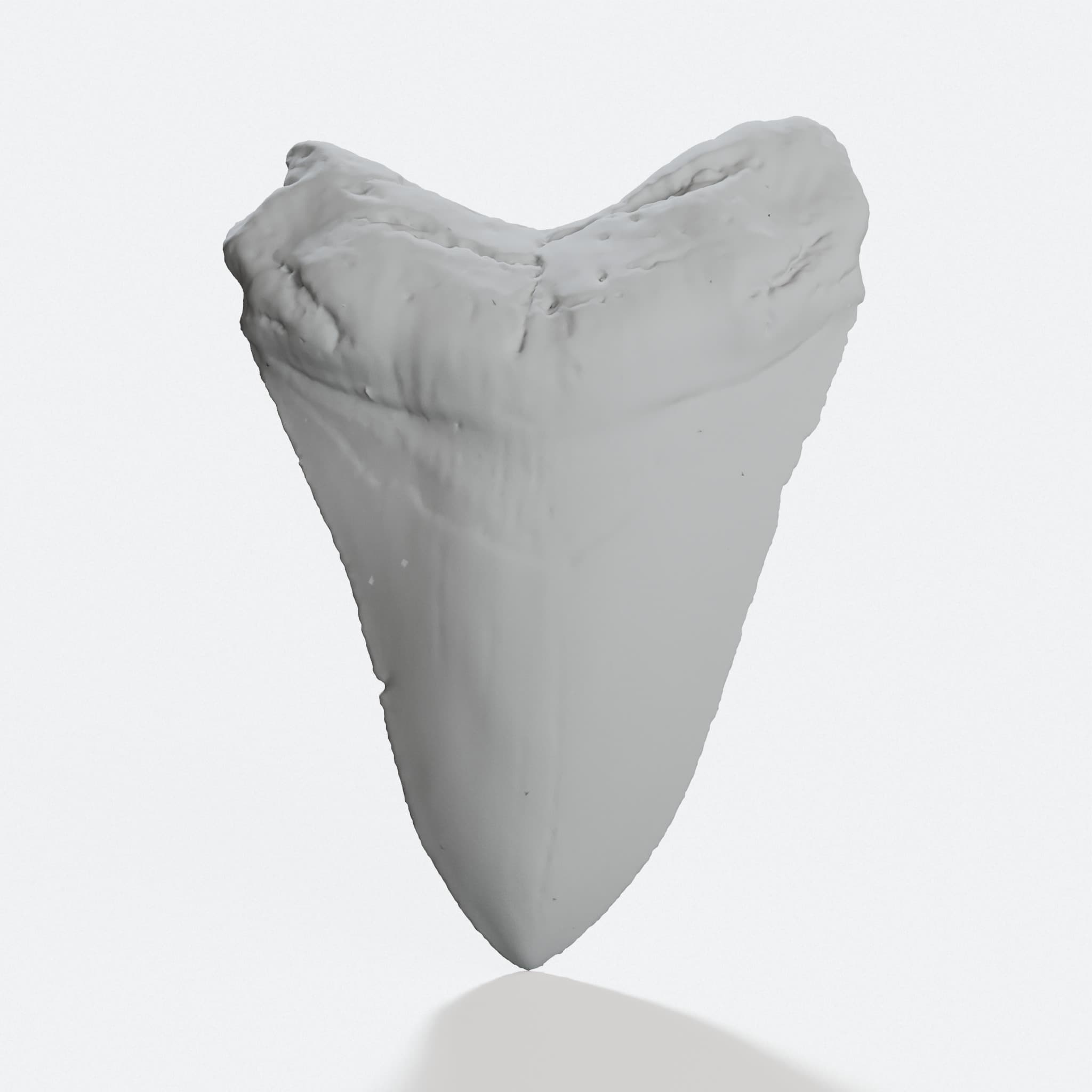 Megalodon Tooth 3D Printed Toy - Pocket Size